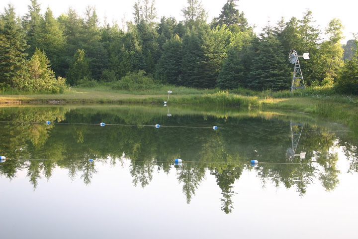 pondreflection.jpg