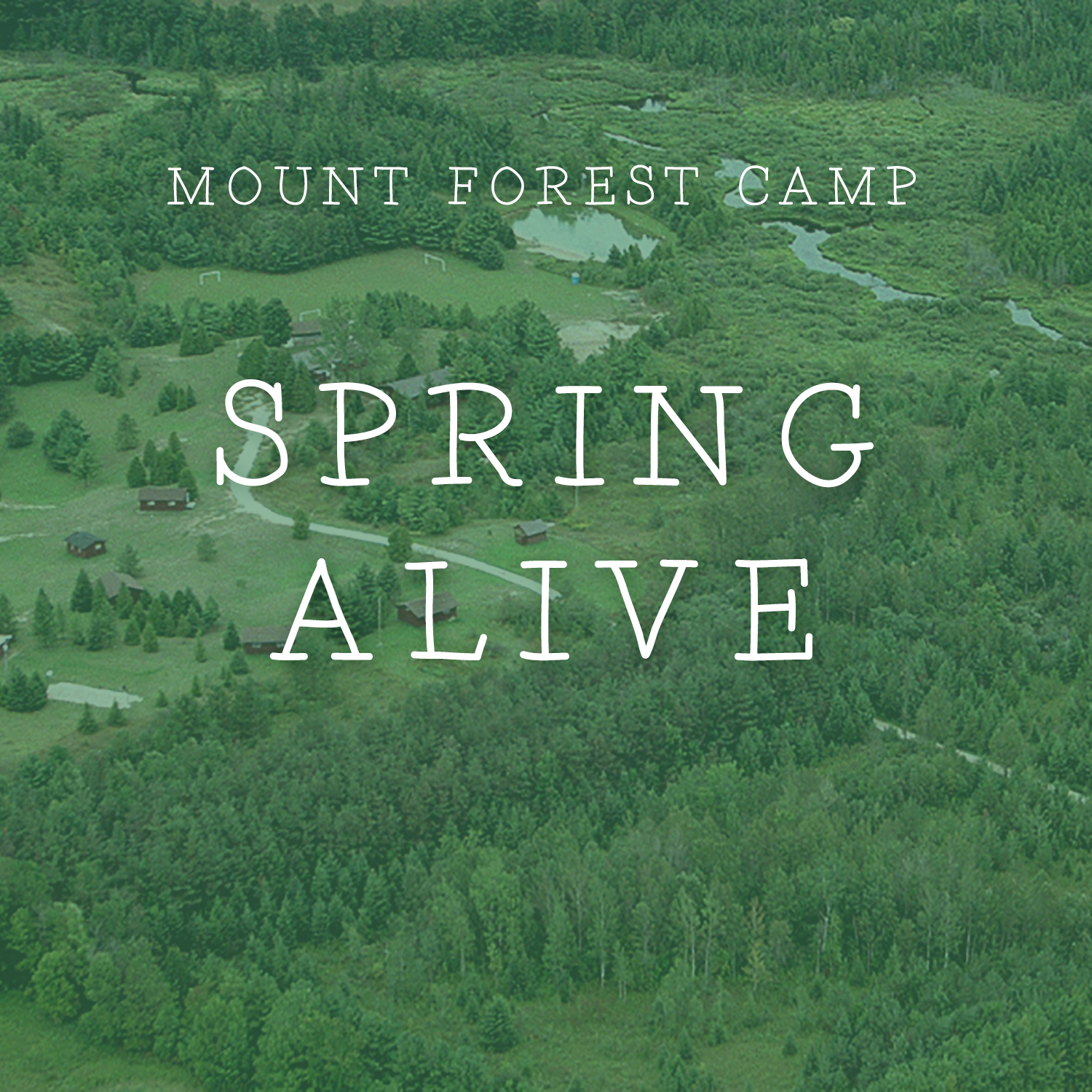 mountforestcamps blank spring.png