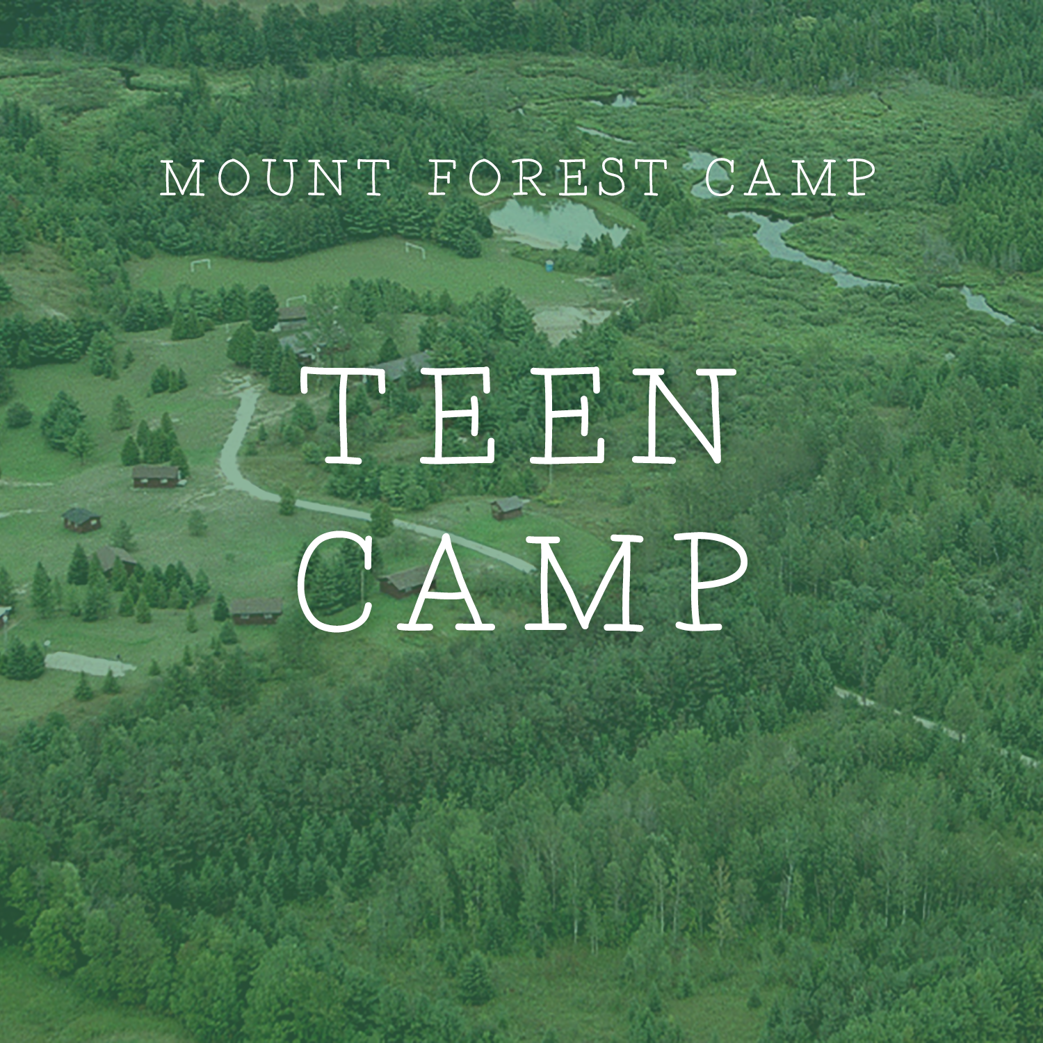 mountforestcamps blank teen.png