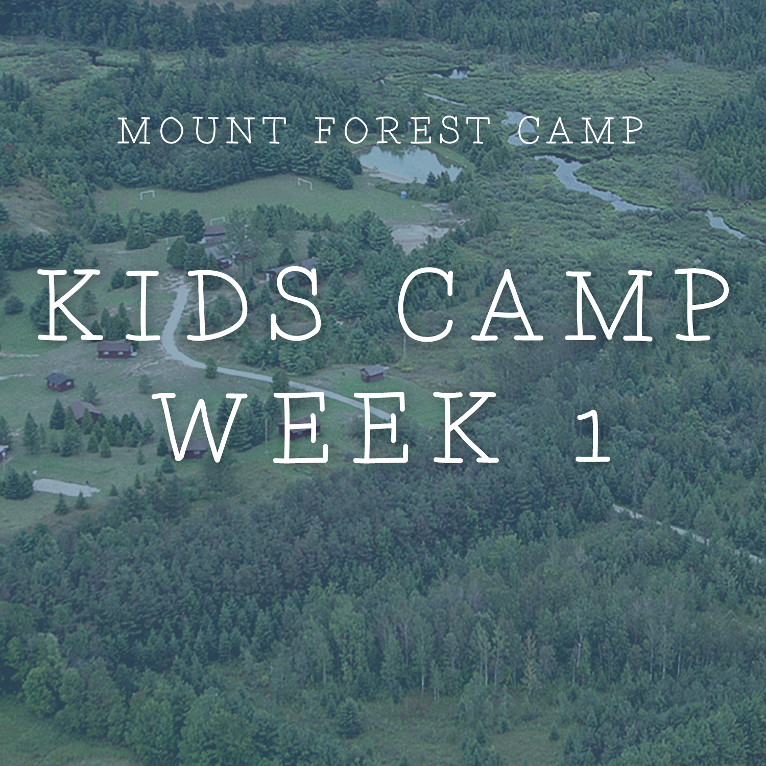 mountforestcamps blank kids1.png