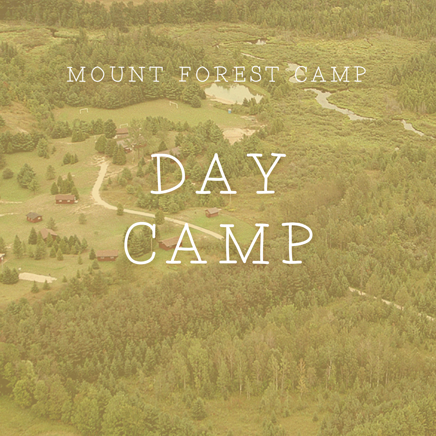 mountforestcamps blank day.png