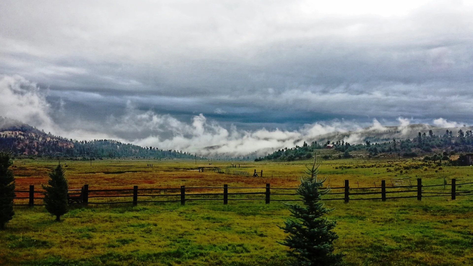 hatch ranch fog.jpg