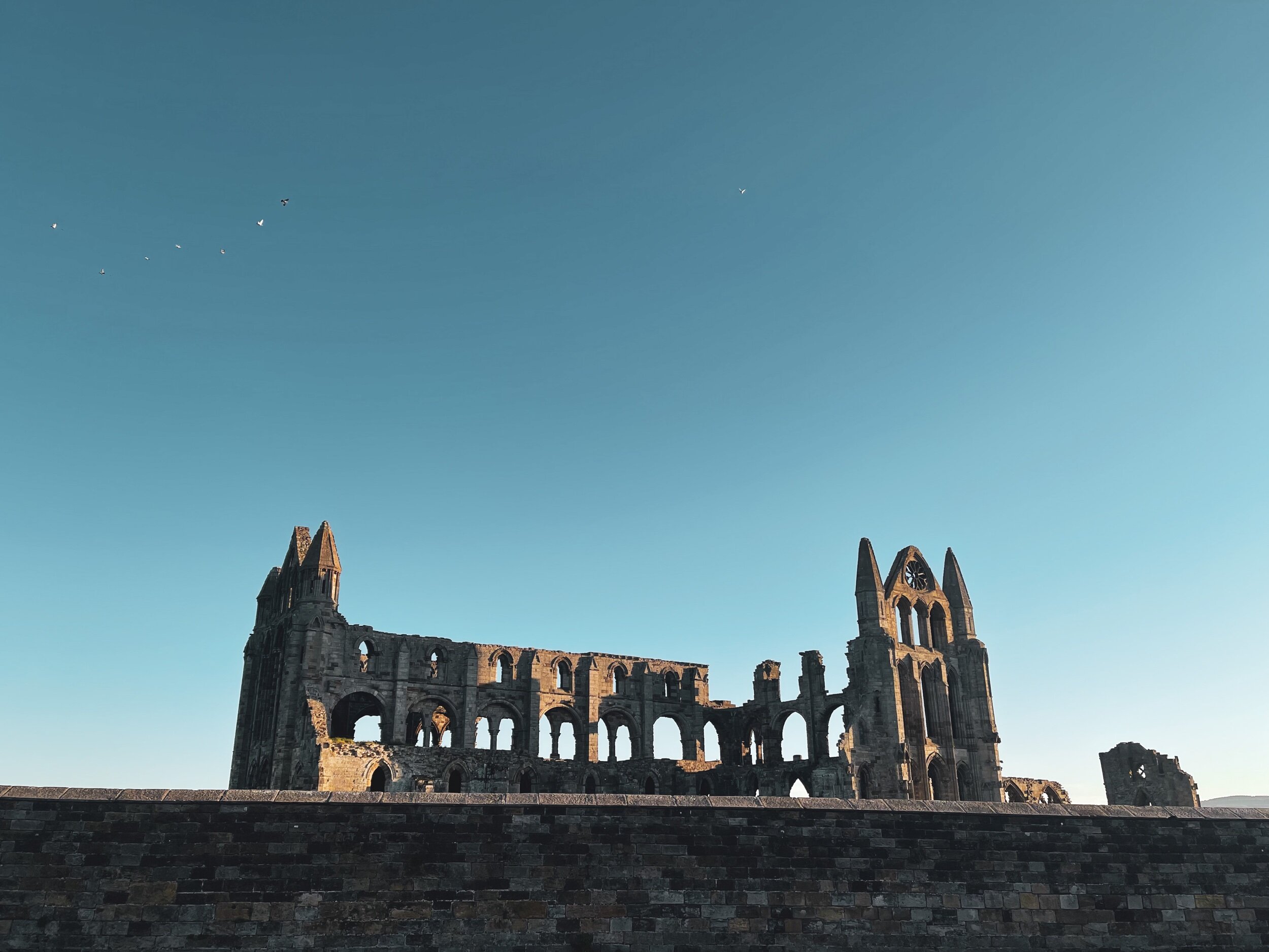 A view of the Abbey from Whitby Brewery