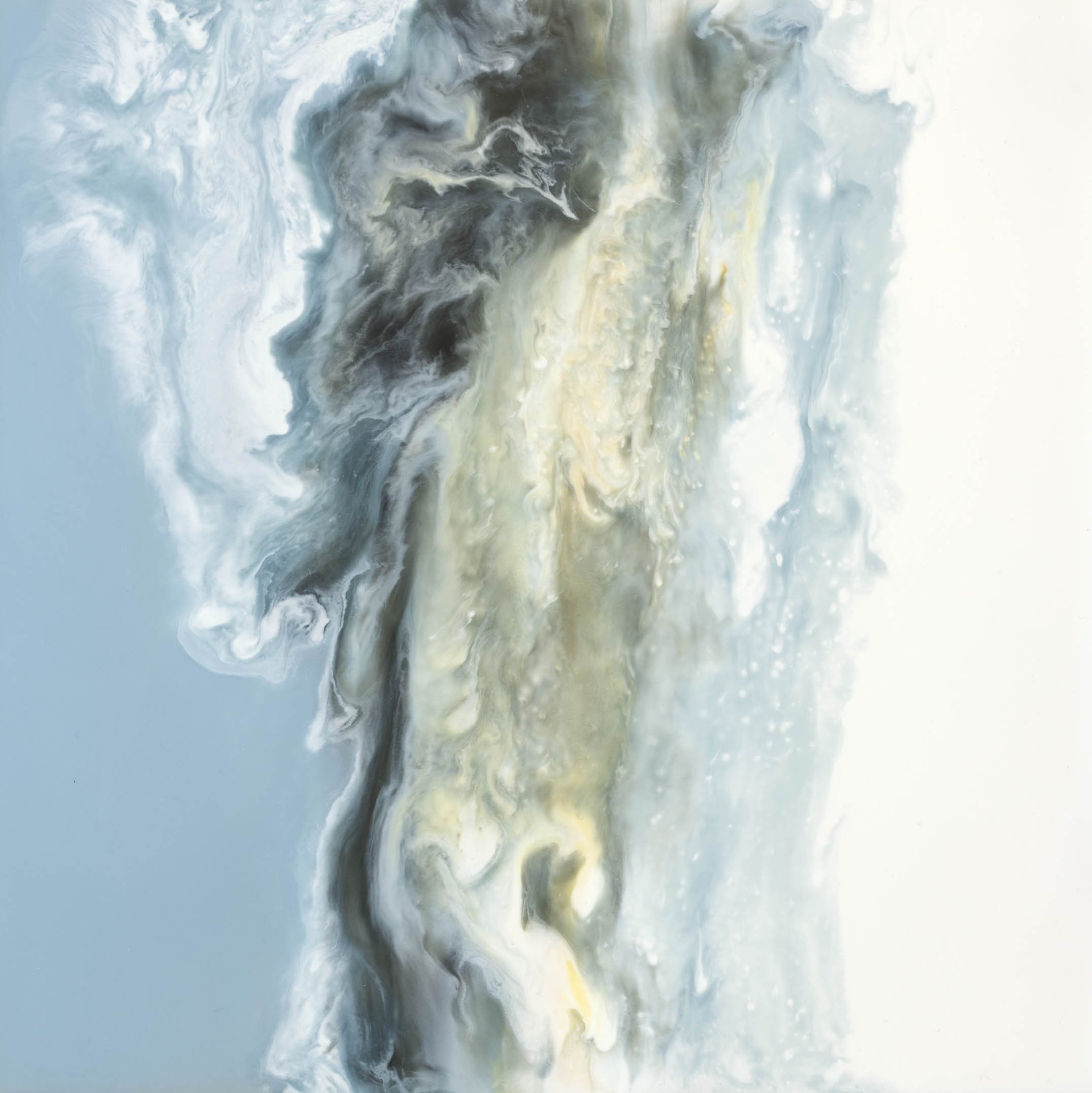 Golden Chaos_6x6_2024_Erin-Rigney_DSC_4170_Vert2_web.jpg