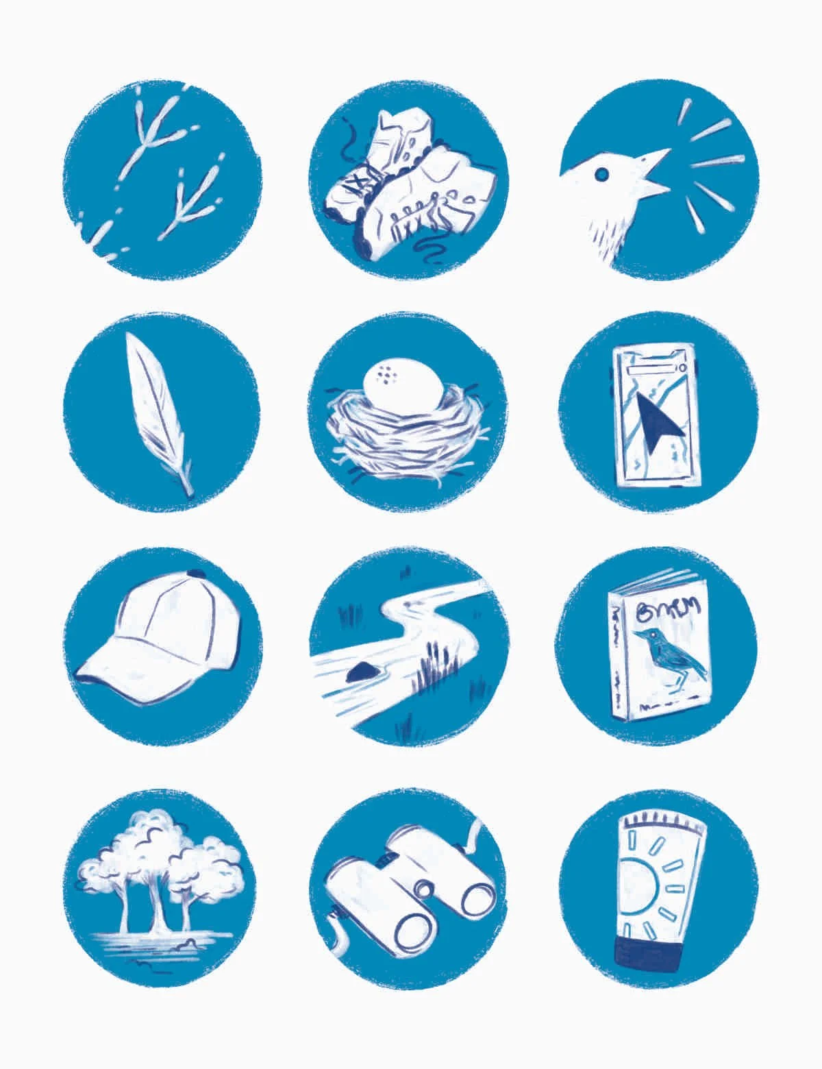 illustrated icons related to bird watching
