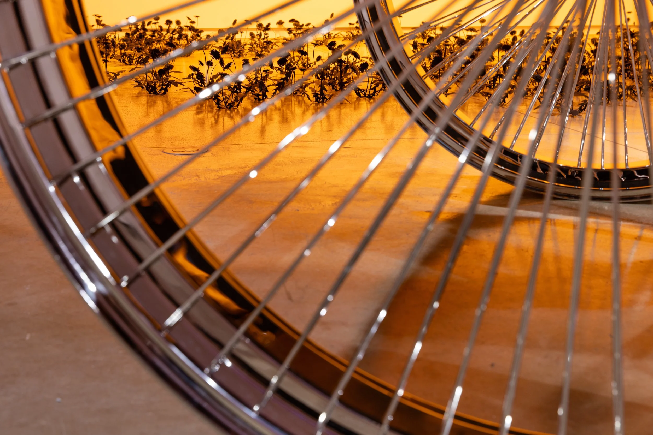 esmaamohamoudkaviguptaflubacker0065 2.jpeg