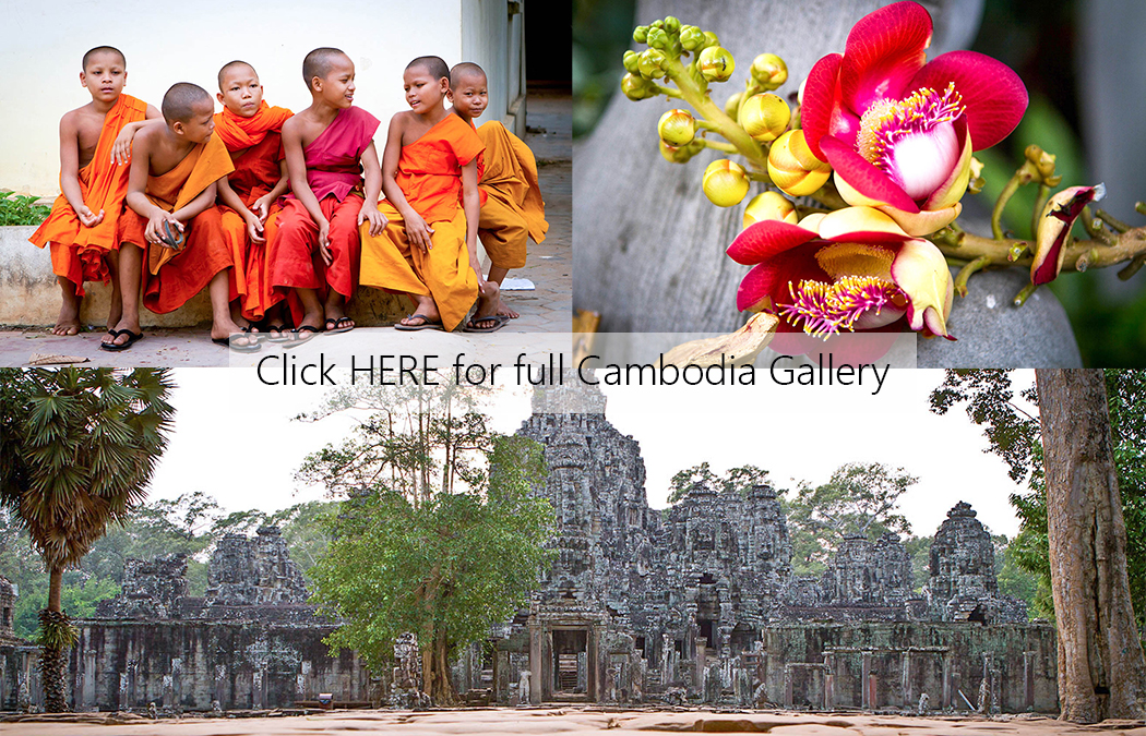 Cambodia Cover Photo.jpg