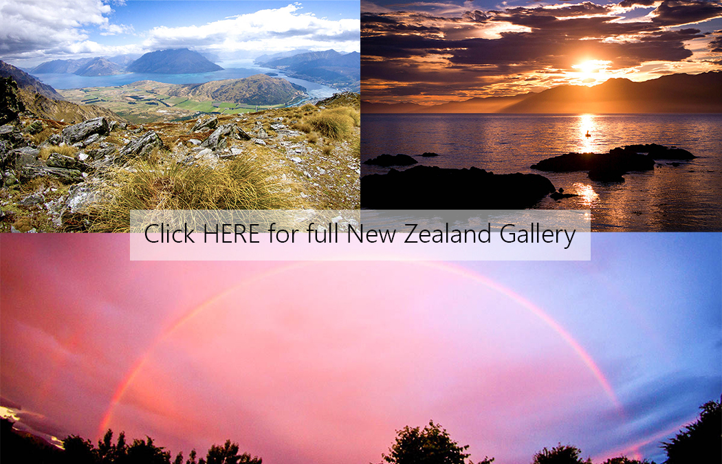 NZ Cover Photo.jpg