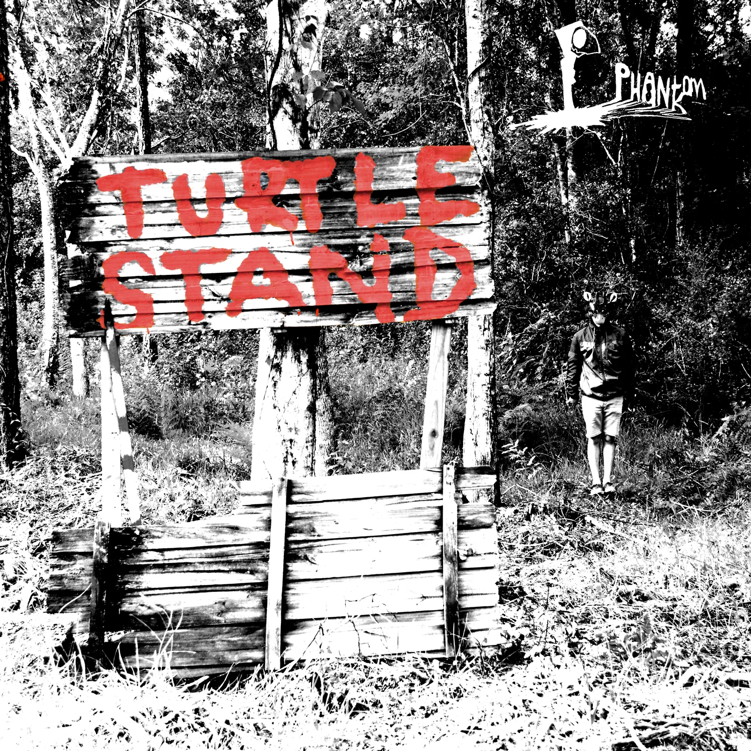 TurtleStand_FrontCover_Logo_1500pWeb.jpg