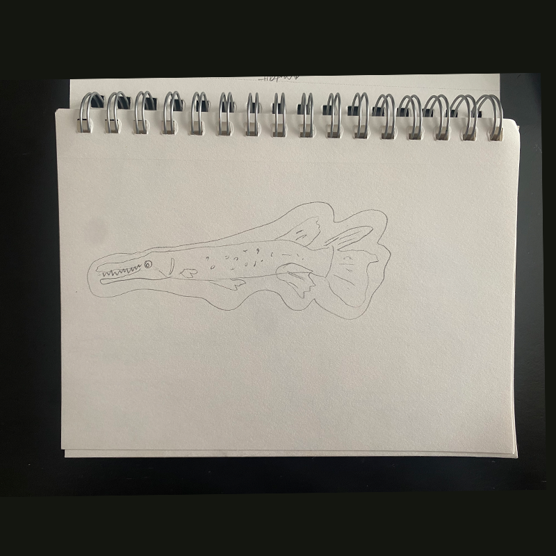 Sketches