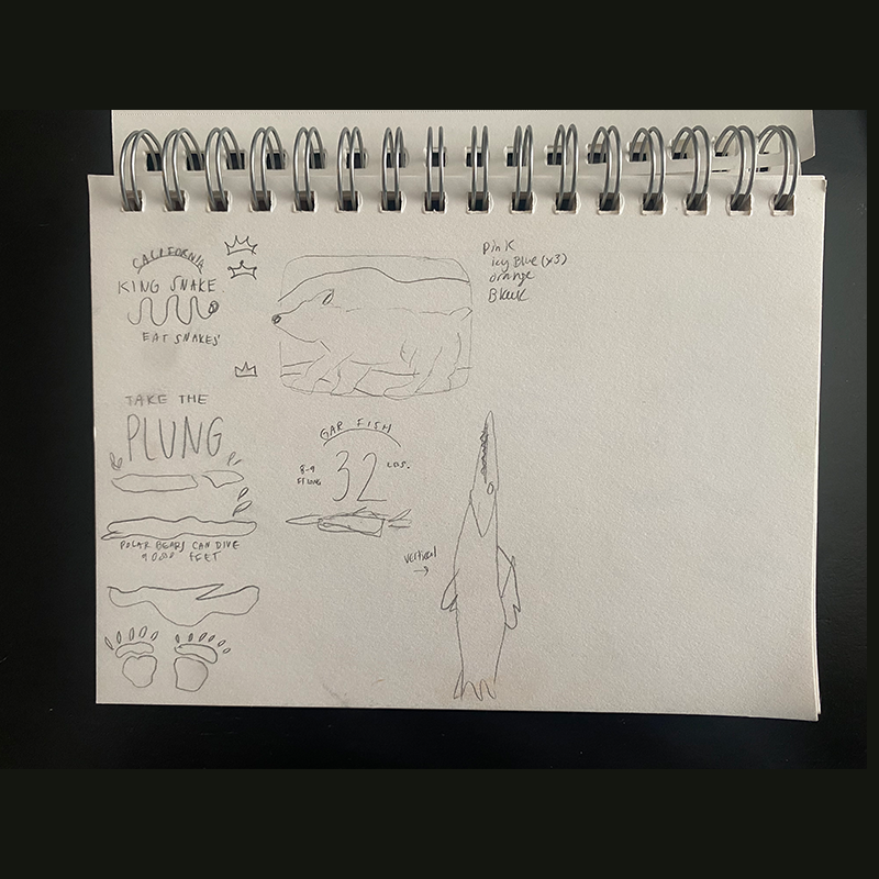 Sketches