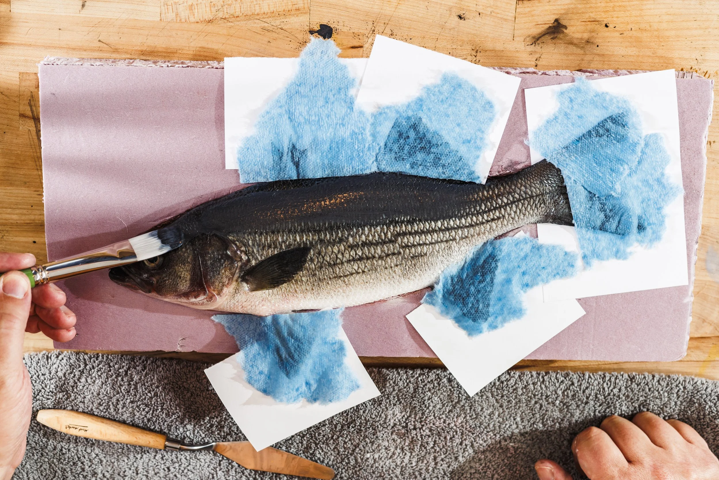 Nate Garrett Gyotaku Artist-58.JPG