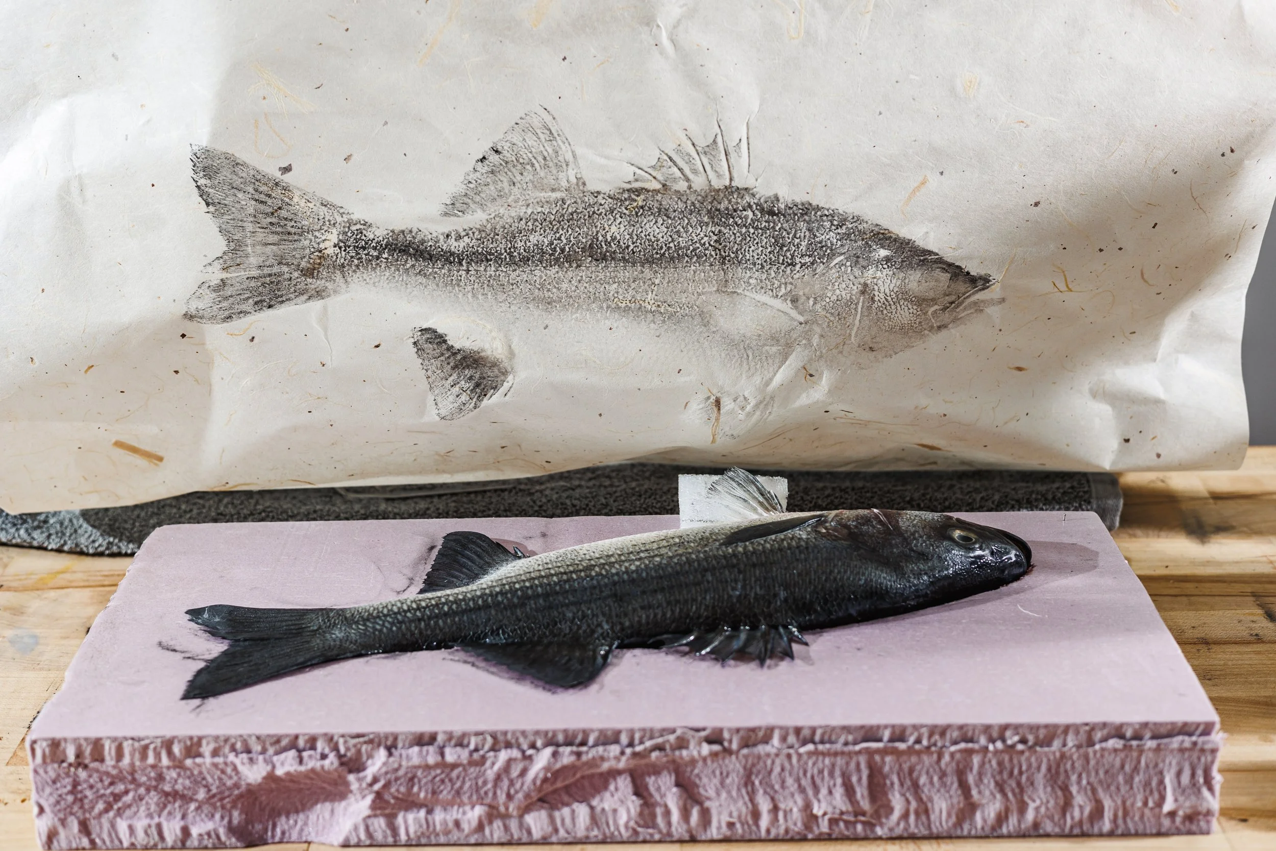 Nate Garrett Gyotaku Artist-88.JPG