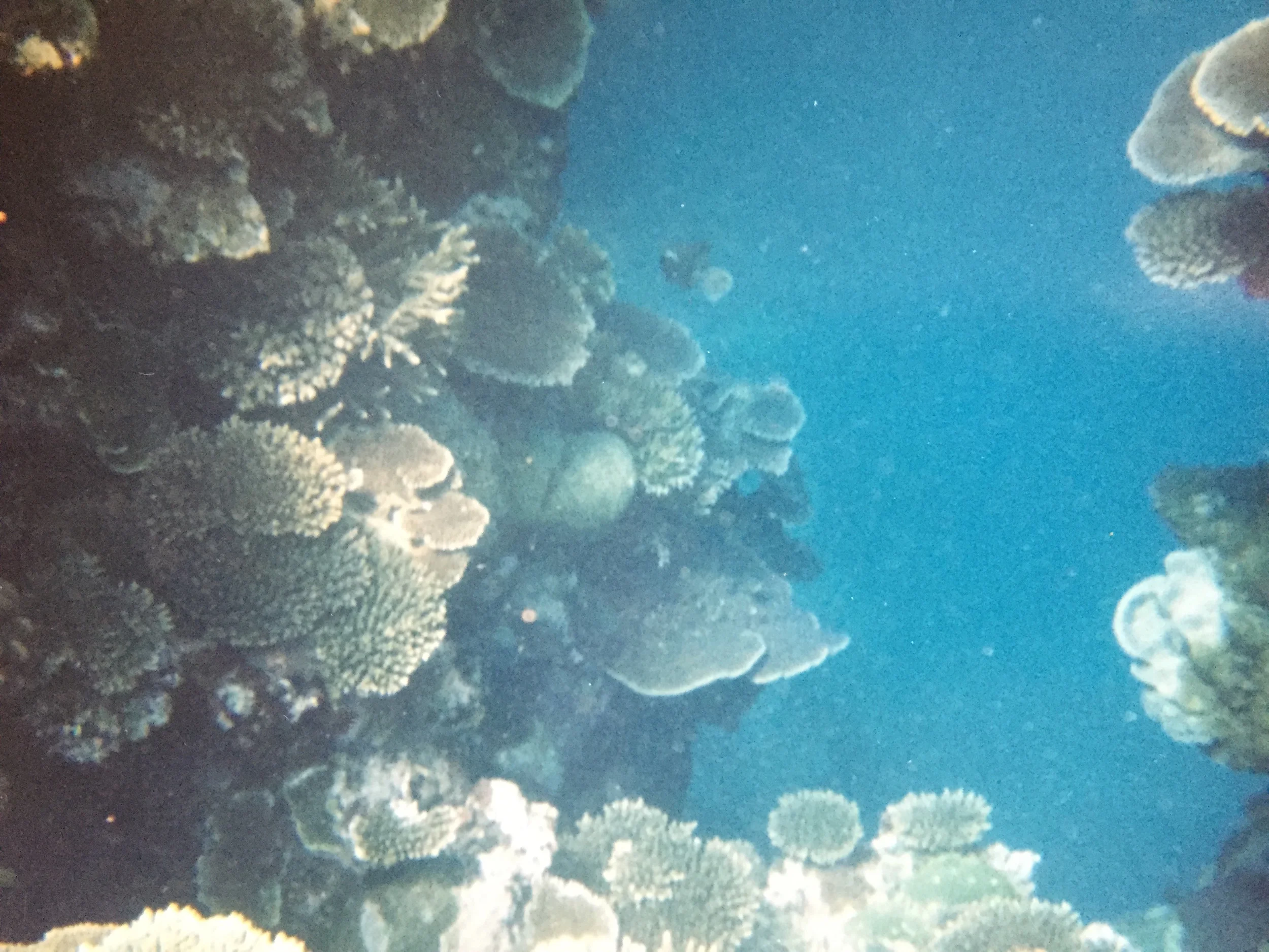  Most incredible snorkeling 