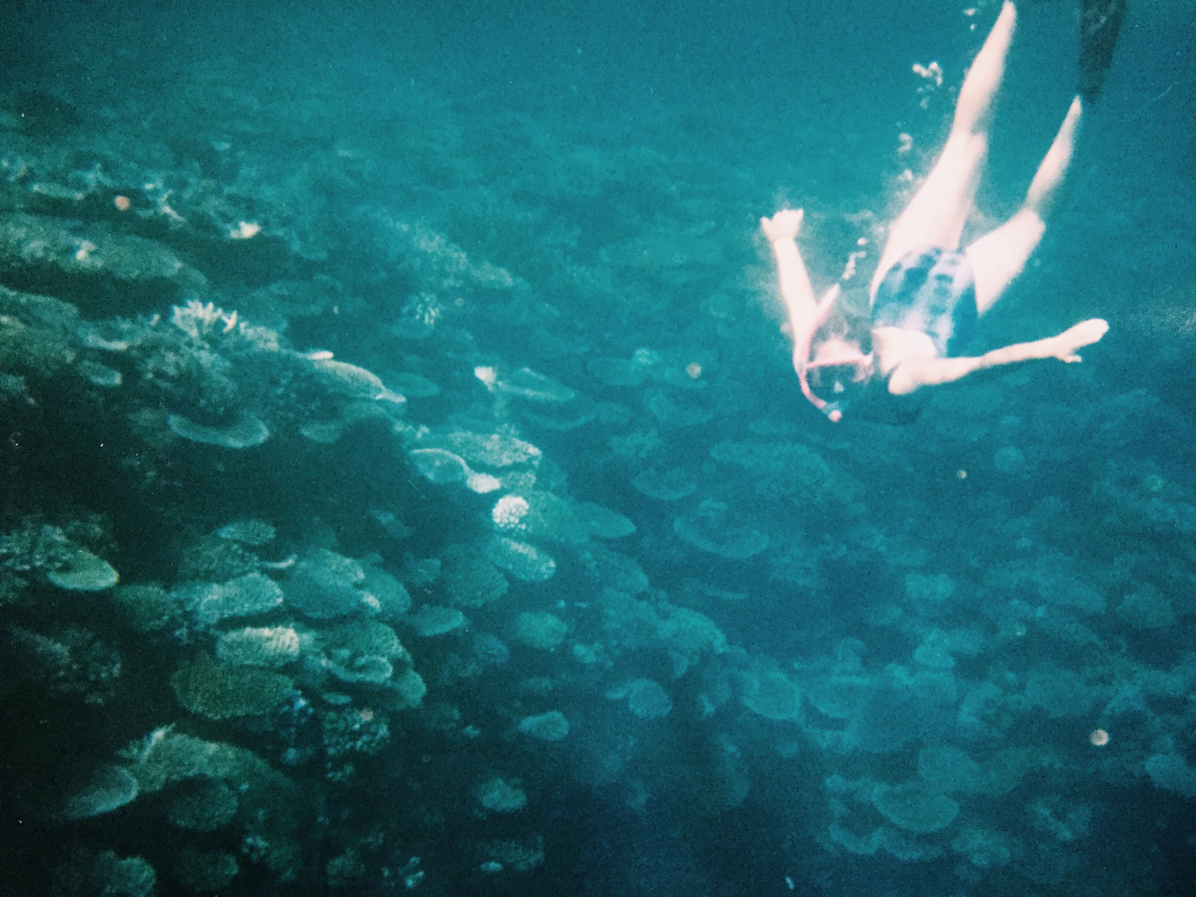 Somewhere off the coast of Fiji