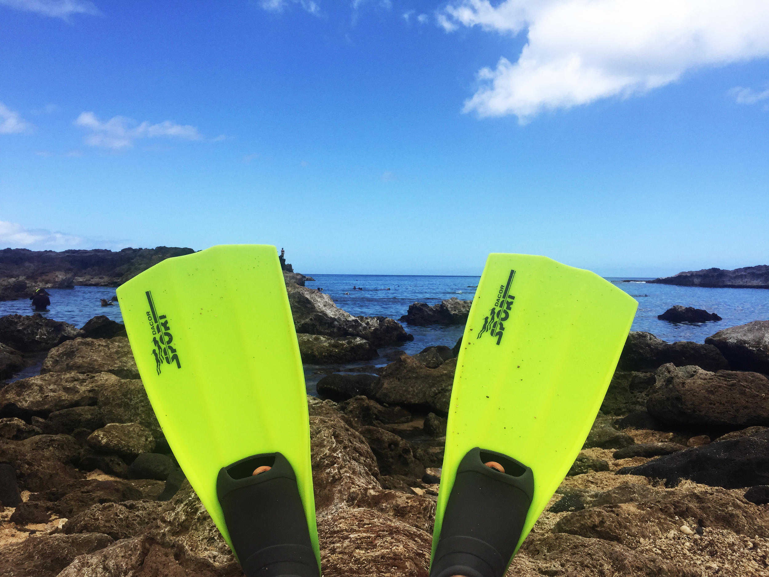 Shark's Cove