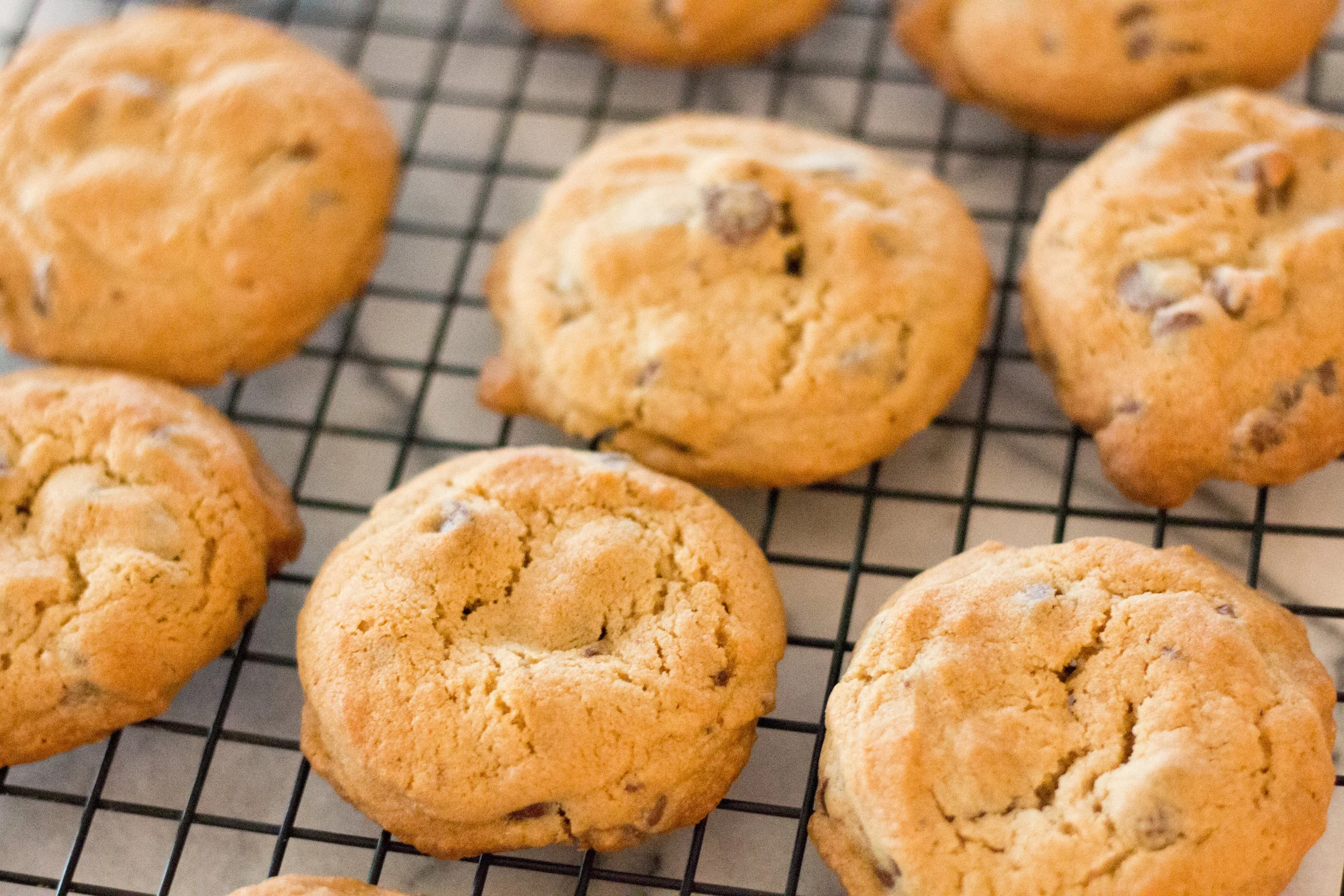 chocolate chip cookie-5.jpg