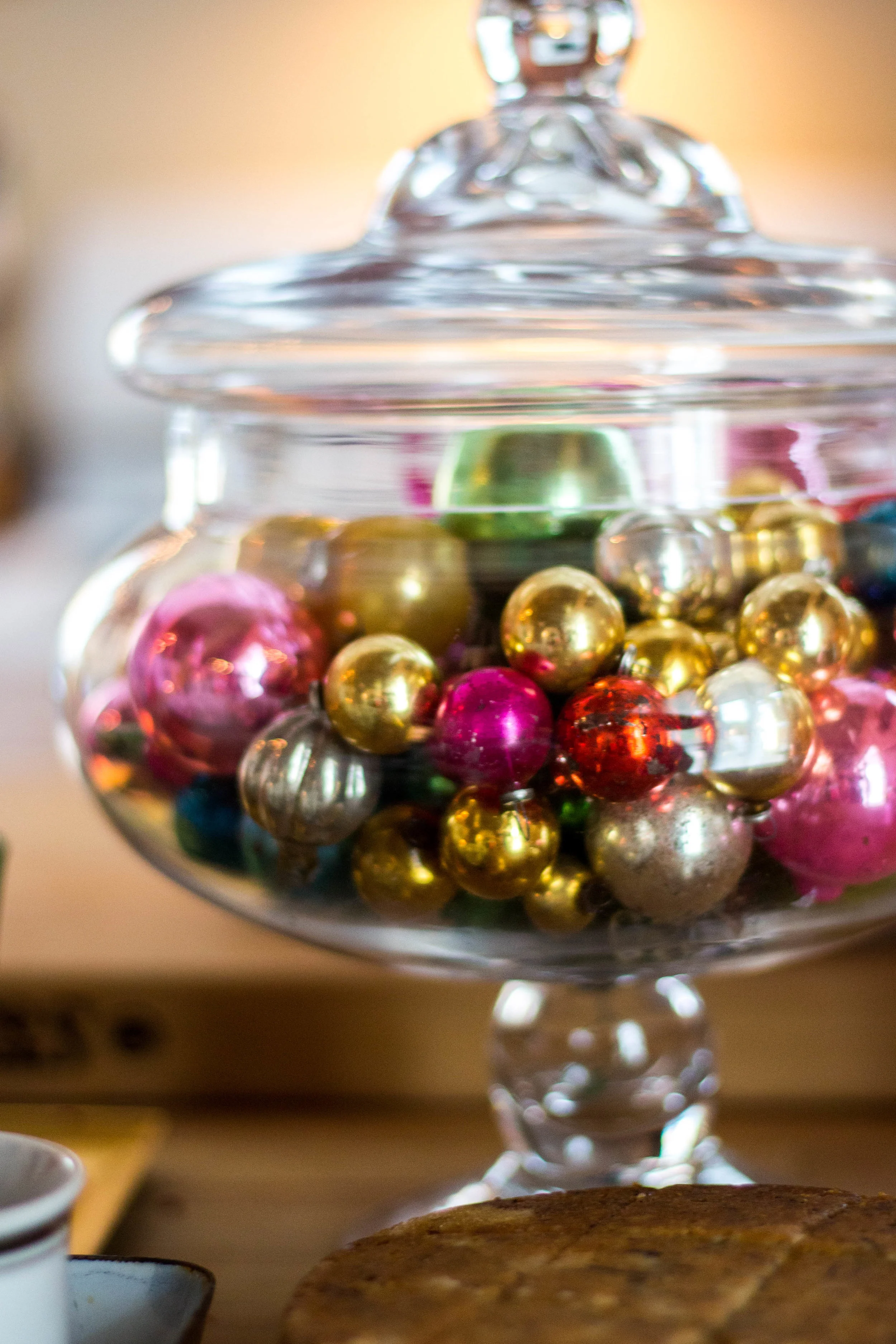 Manfre Xmas 2015-25.jpg