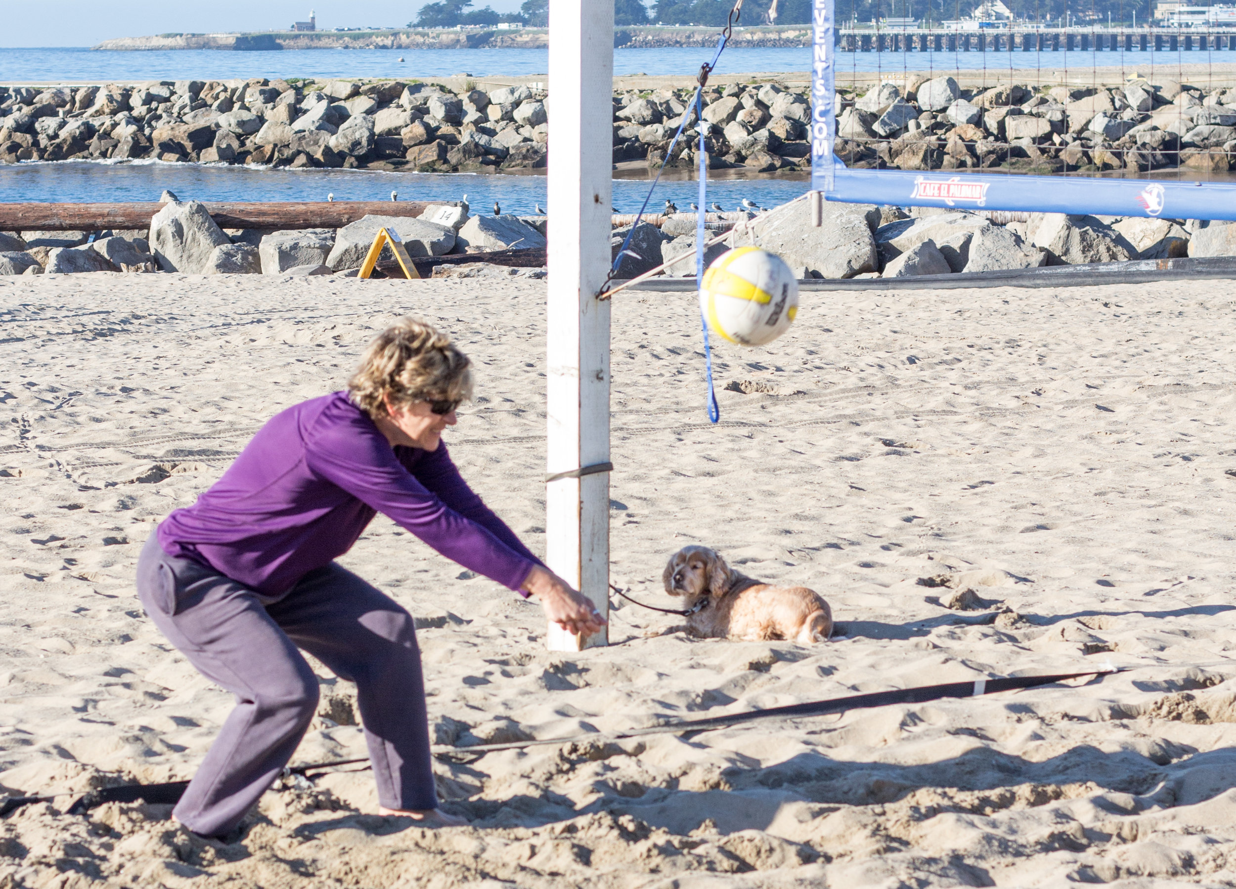 beach vball-23.jpg