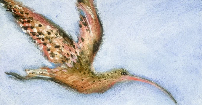 Eastern Curlew Angela Rossen Acrylic on Board.jpg
