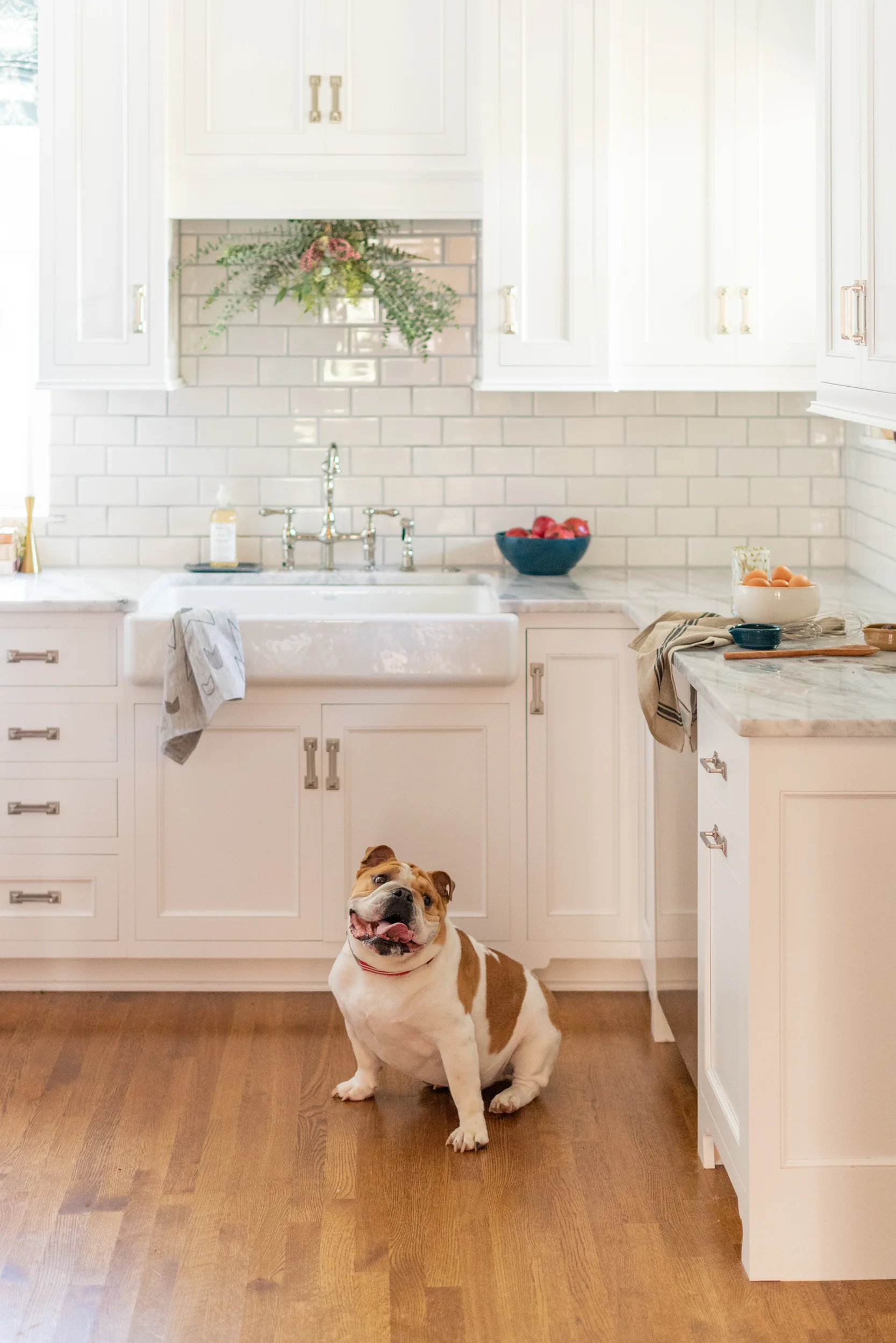 Rich_House_Lifestyles_Sept_2018_47_WEB.jpg