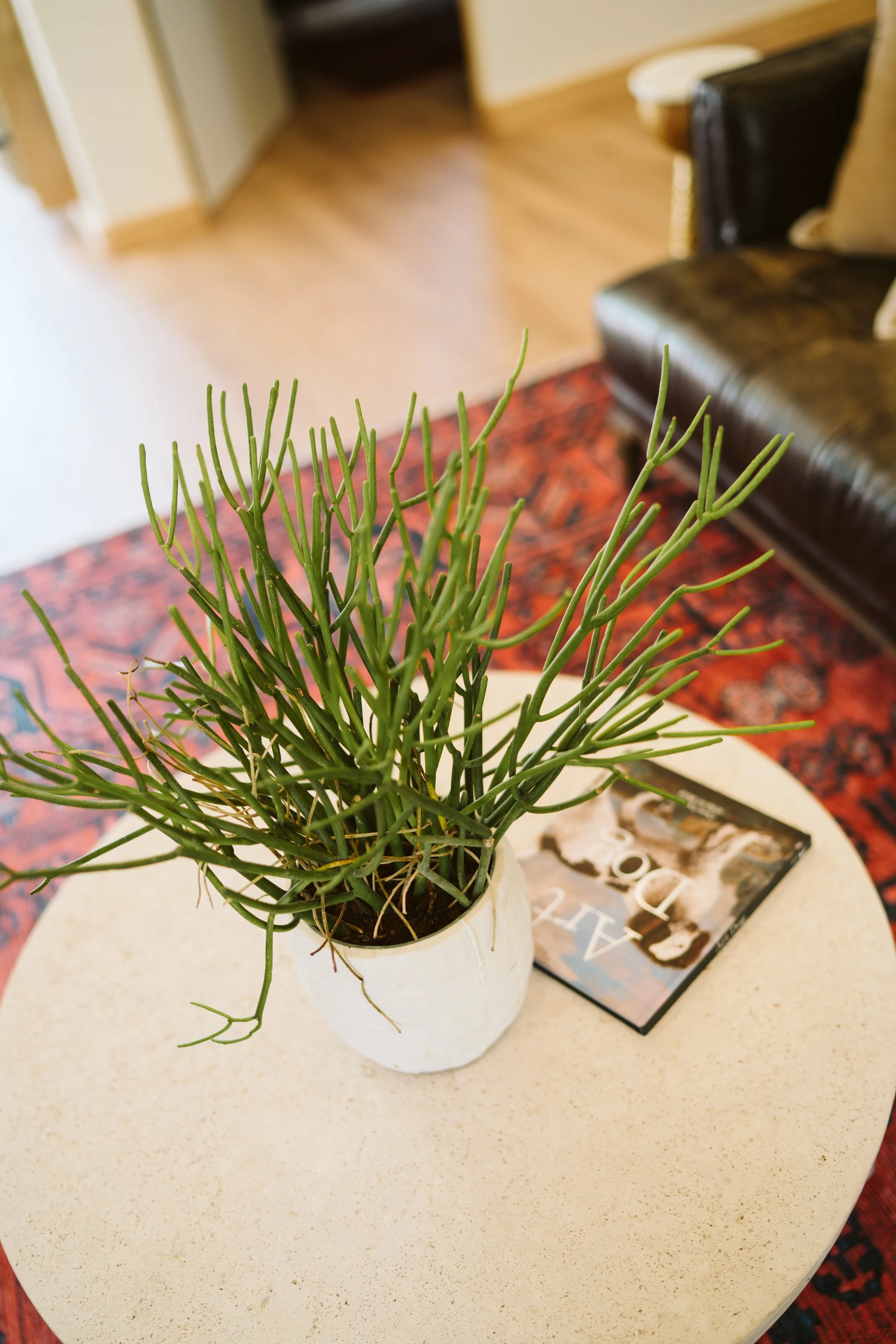 Interior styling and real estate photography by Tango Photo — serving Charleston and Summerville SC
