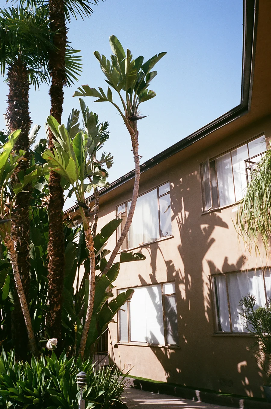 FloryHuang_Fujifilm400_LA_web.jpg