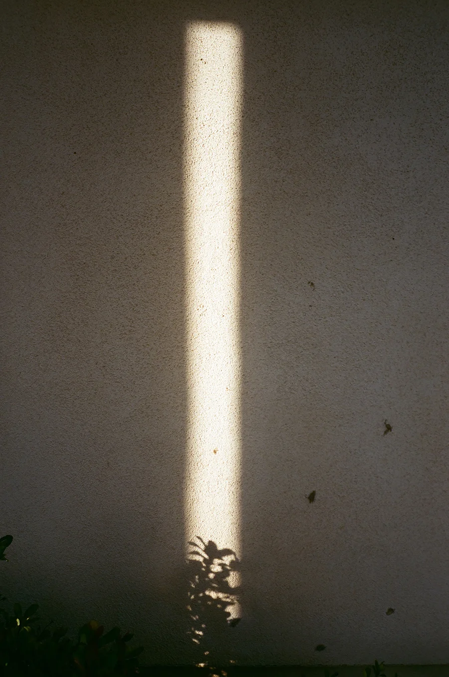 FloryHuang_Fujifilm400_LA2_web.jpg