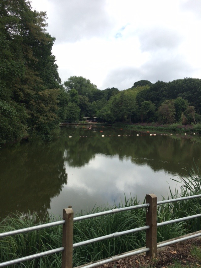 Hampstead Heath Swimming Pond