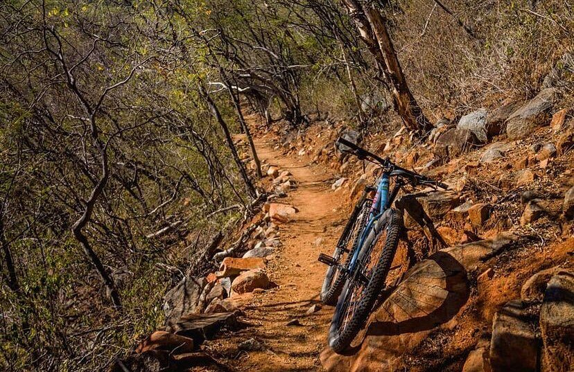 Rodando en sendero arroyo alto, sobre la tierra colorada 🚴🏼🍃

📷: @perdidoenbici 

#parquelacolorada #alamossonora