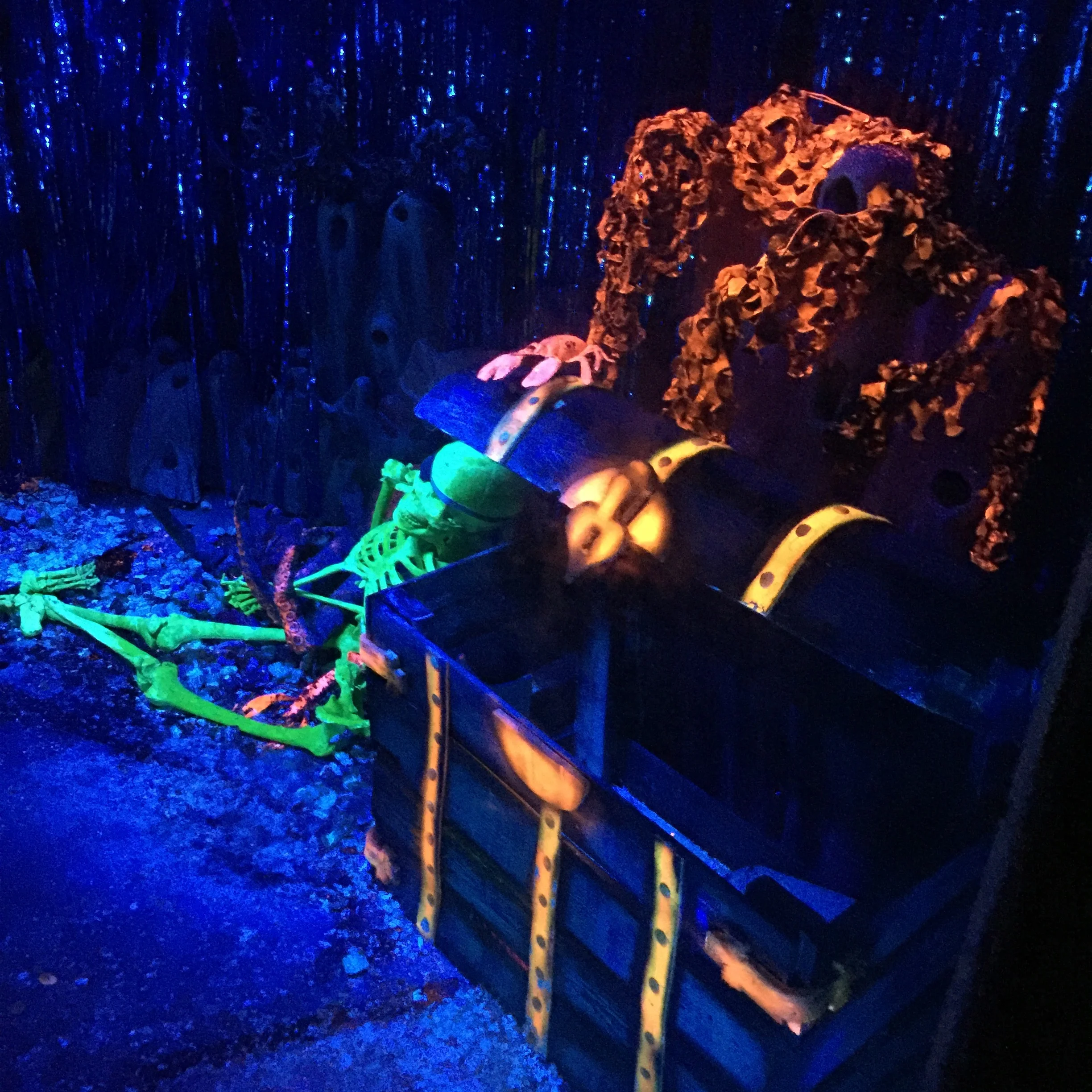 IMG_4014.jpg