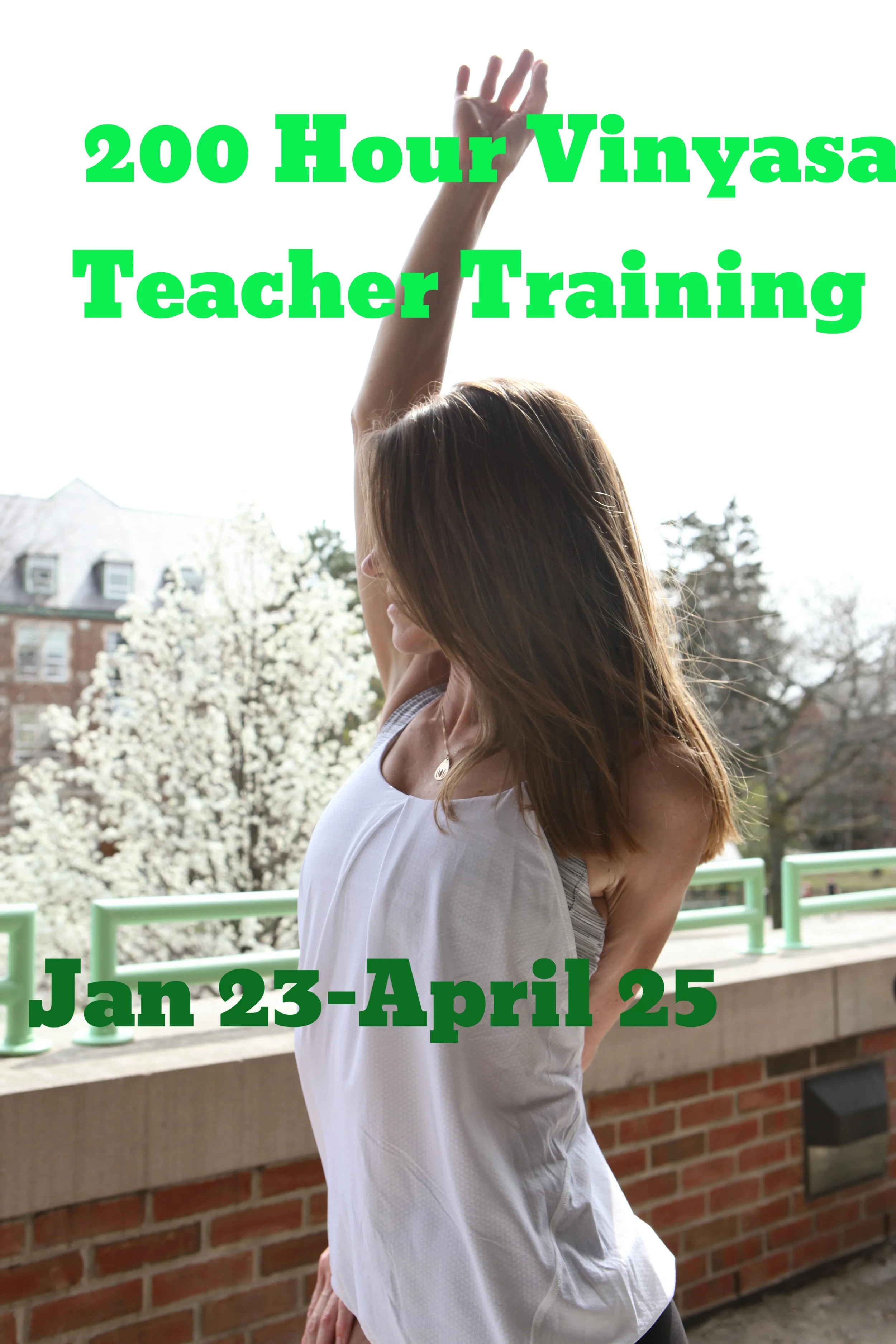 Teacher Training 200 Hour Vinyasa Begins
