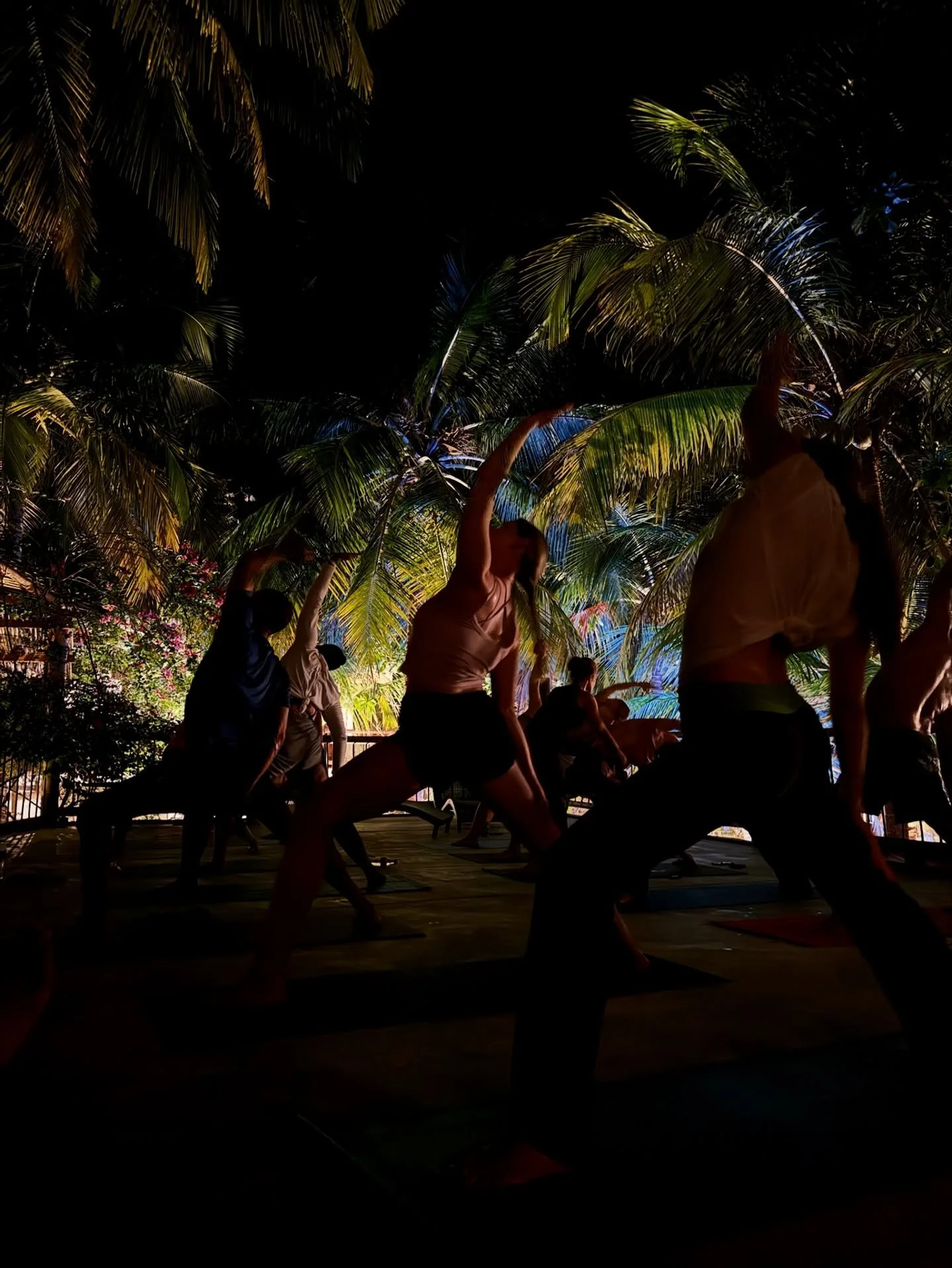 Monday
9:45am-OKEMOS Hot Vinyasa with Jen
12:30pm-OKEMOS Simple Easy Stretch with Jen
4:30pm-East Lansing Hot Pilates with Payton
5:15pm-OKEMOS Hot Vinyasa with Cami
5:45pm-East Lansing Hot Vinyasa with Jen
6:00pm-OKEMOS Tempo Spin with Carrie
7:00pm