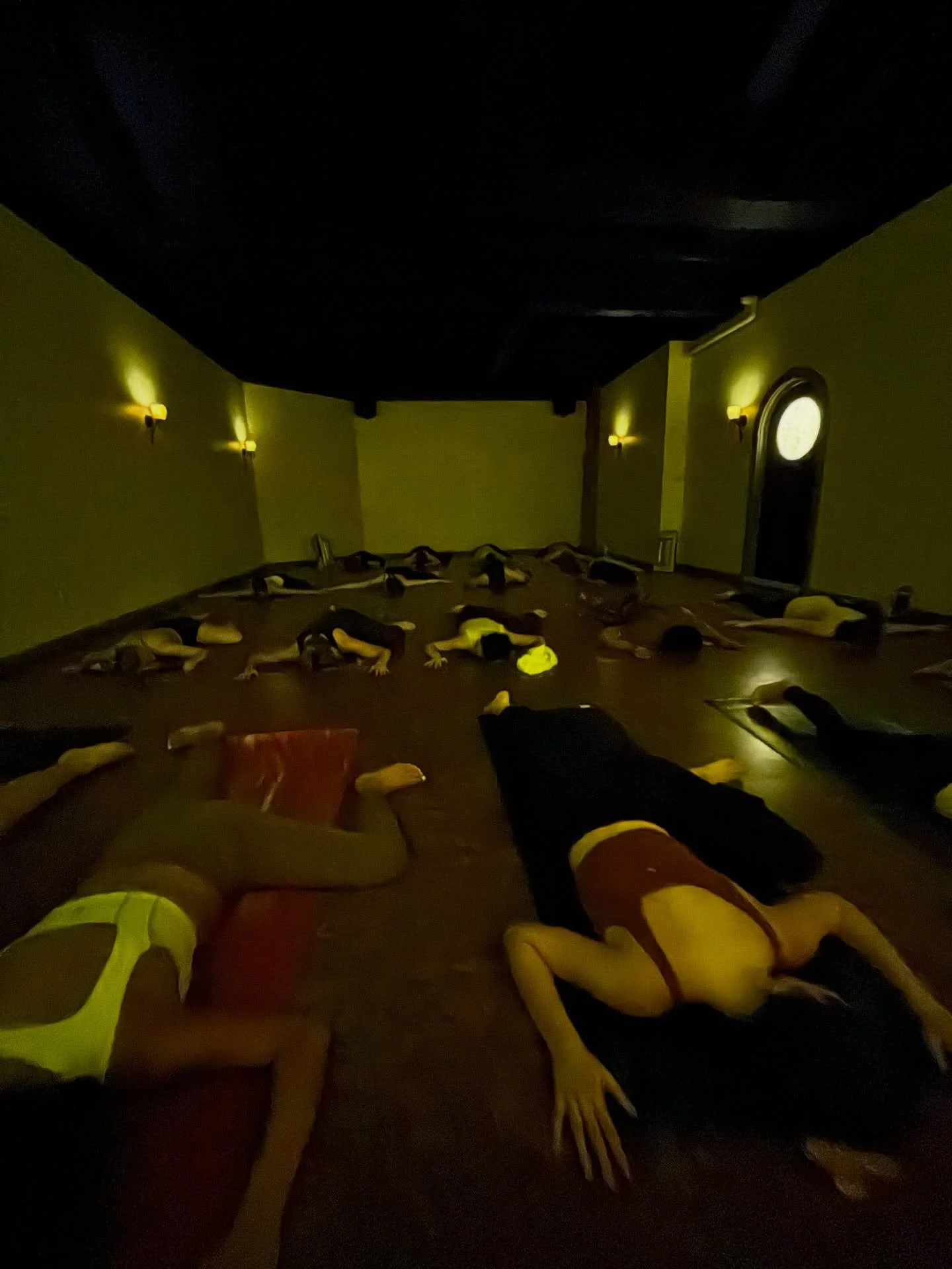 Friday
9am-EL Core Strength Yoga with Sofia
6pm-O Hot Vinyasa with Payton

Saturday
8:45am-O Tempo Spin with Carrie
9:45am-EL Hot Pilates with Skyler
10am-O Slow Flow with Grace
11am-EL Somatic Yoga with Marcie

Sunday
10am-O Essential Vinyasa with P