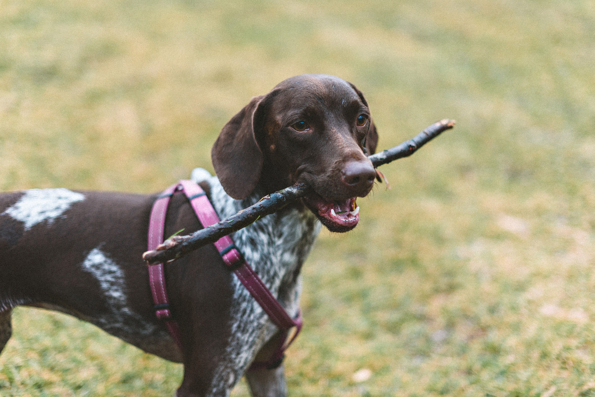 Shutter Speed Example Callum Pinkney Photography.jpg