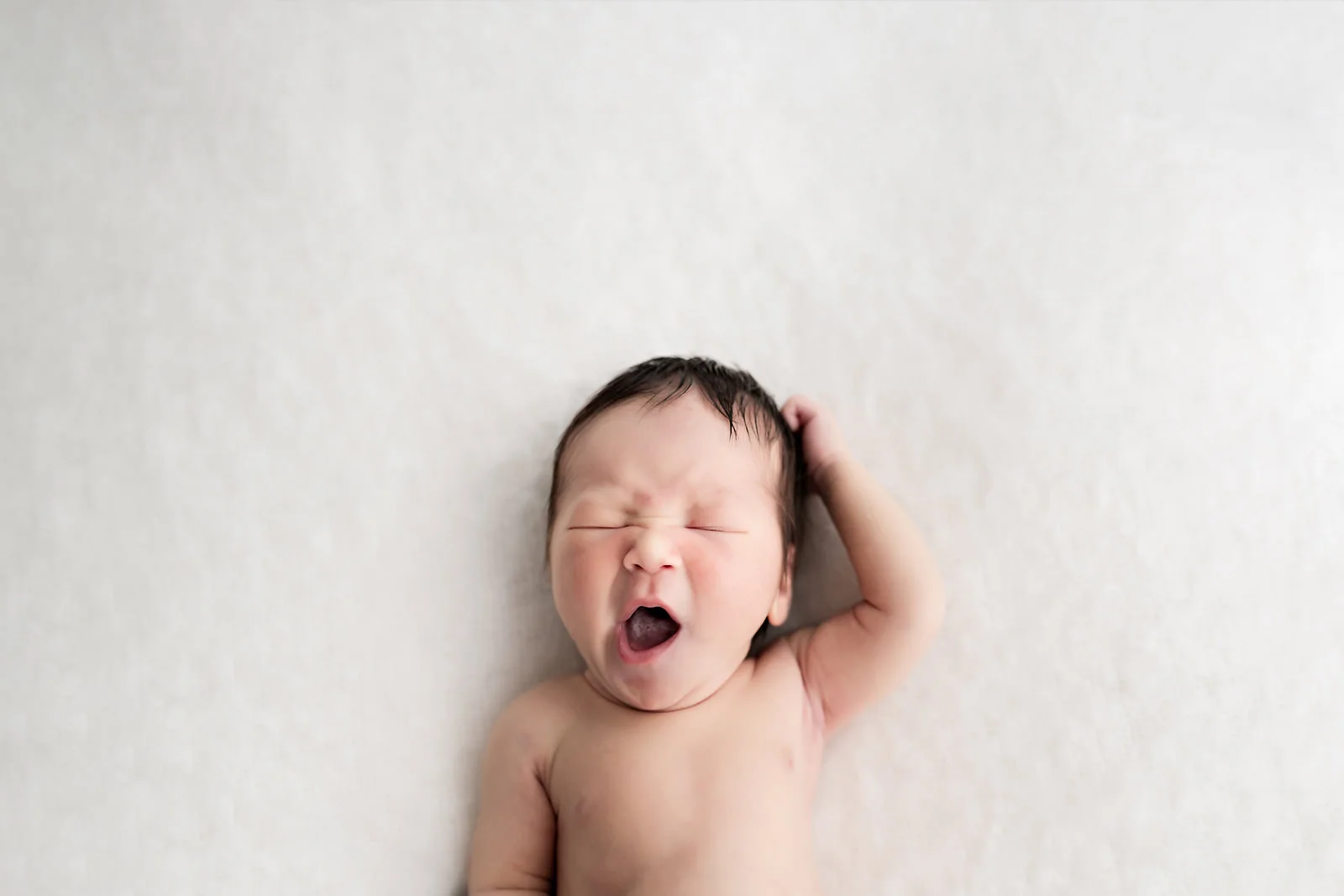 Heller Newborn Print-1356.jpg