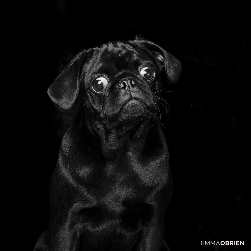 DSC_1007-bw.jpg