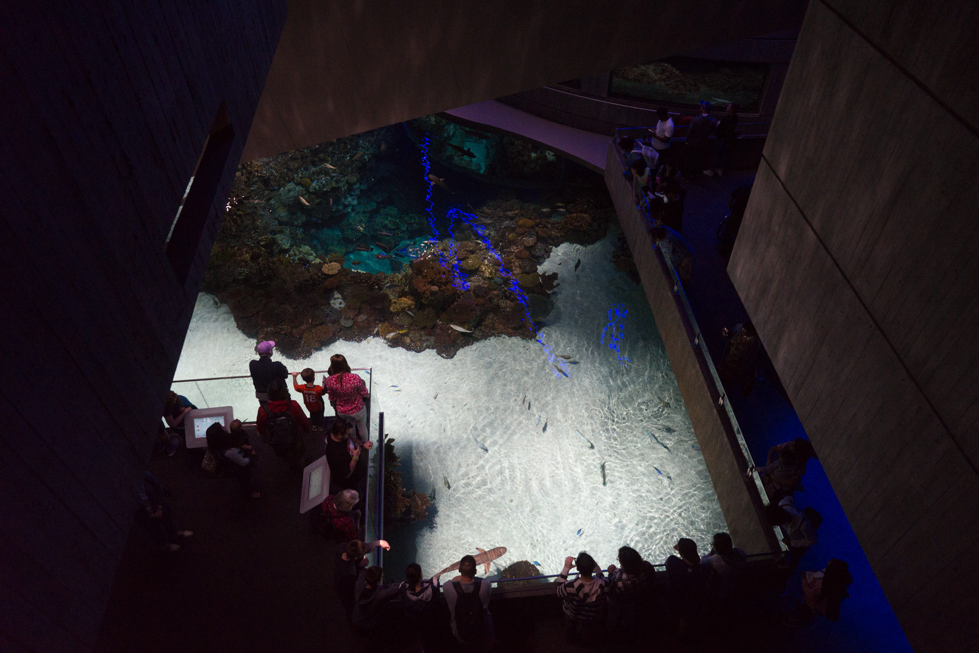 Baltimore Inner Harbor and National Aquarium (c) My3GirlsPhotography May 2017-23.jpg