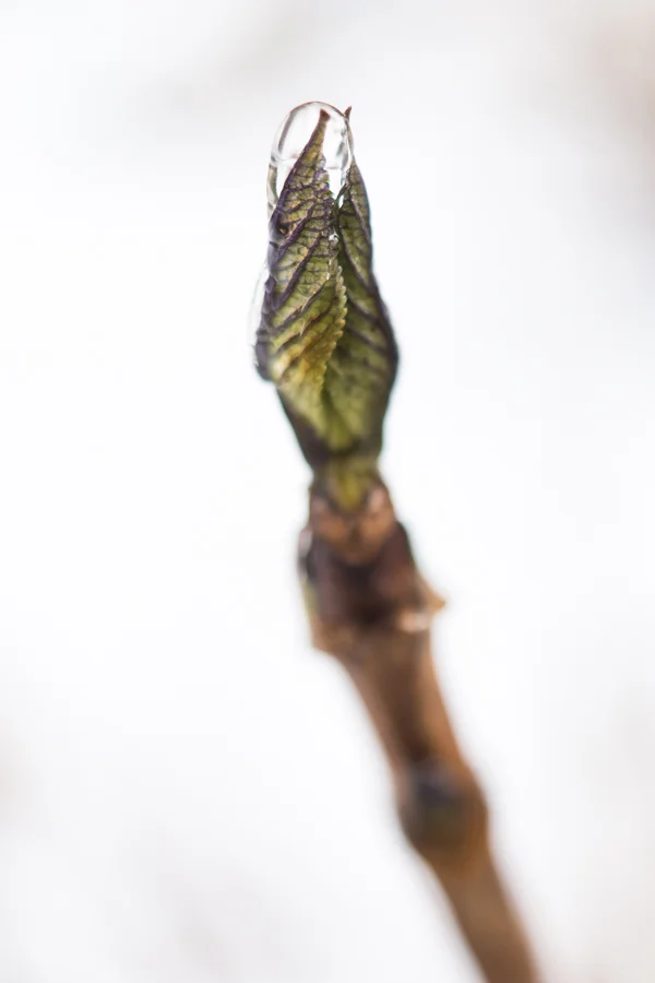 february 21 2019-7.jpg
