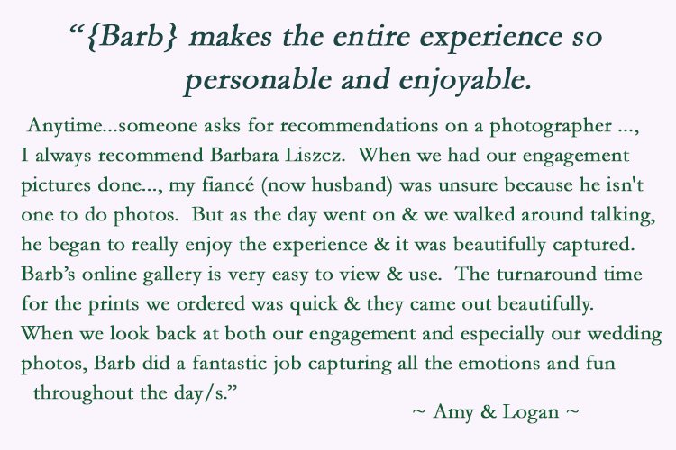 Wedding Testimonial 2021 Amy+Logan.jpg