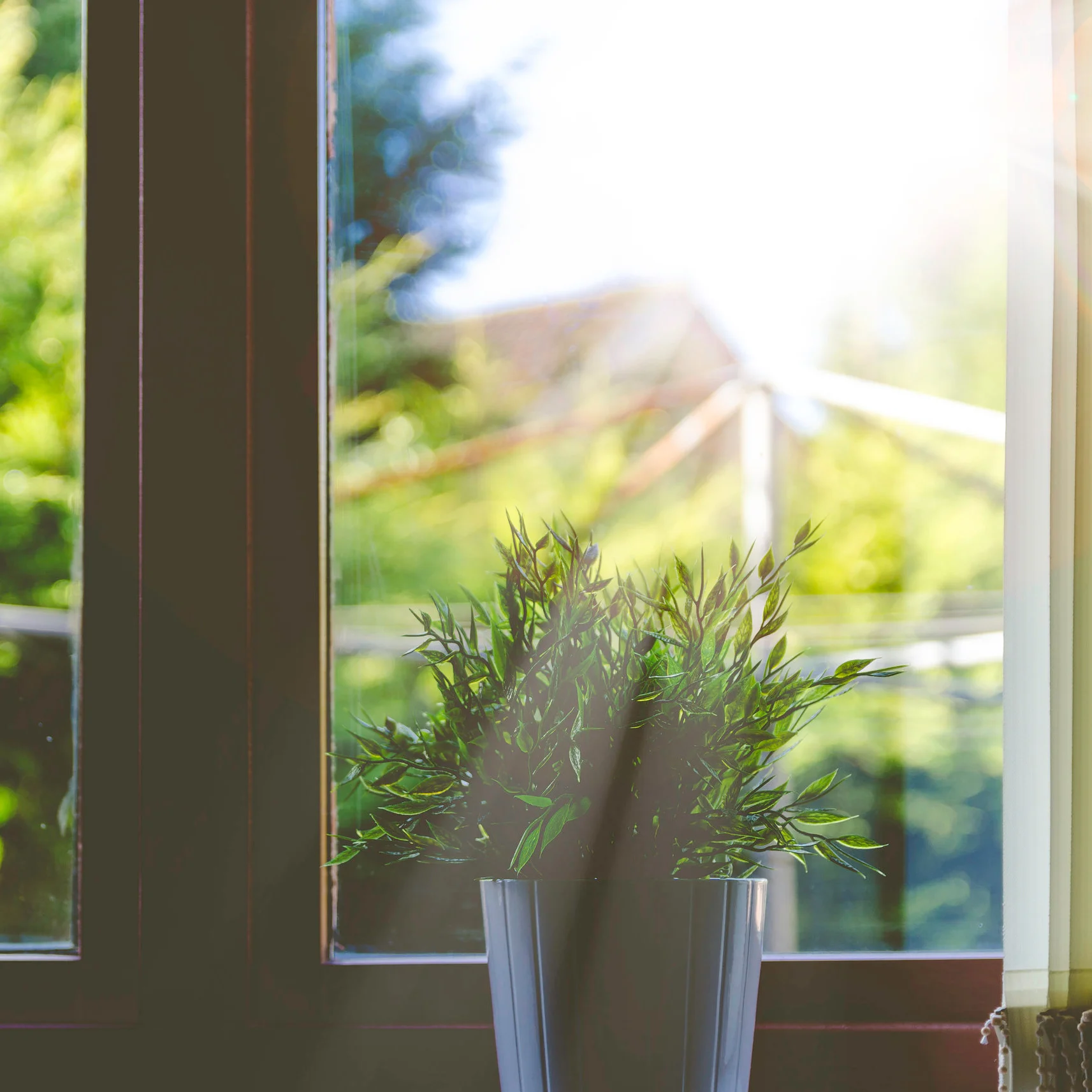 Renue Your Windows With Clear Units
