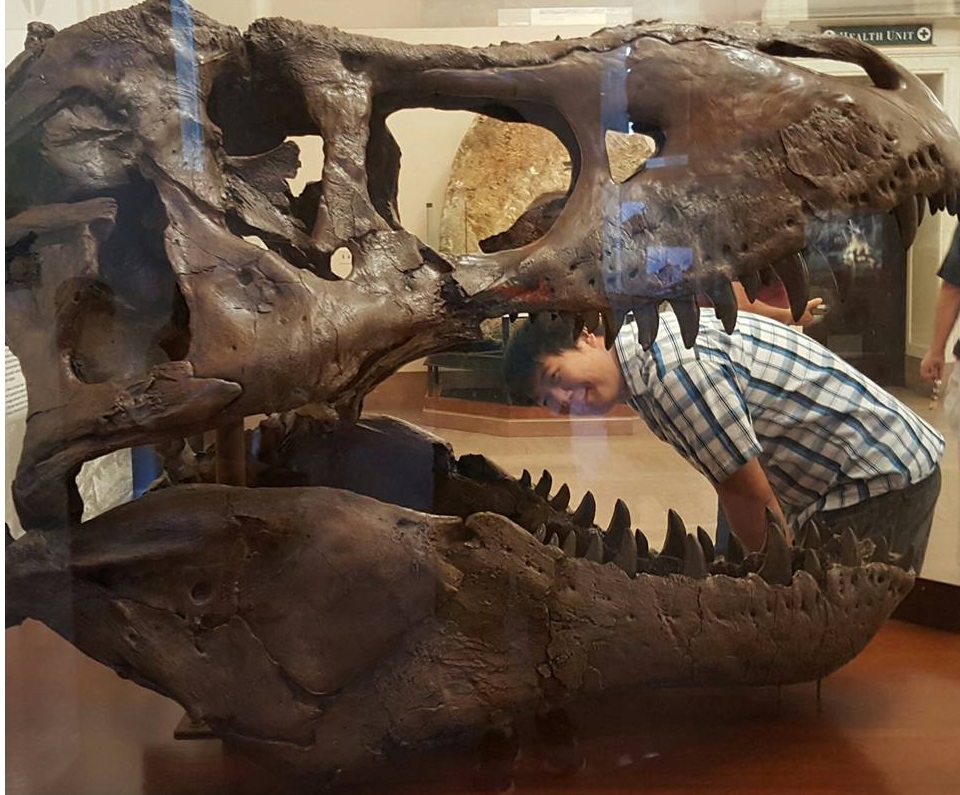 If T-Rex were a big fish at the Smithsonian (Washington D.C.)