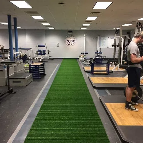 gym-turf-365-grass-strip.jpg