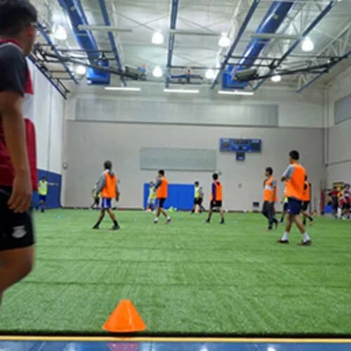 Indoor Soccer Turf