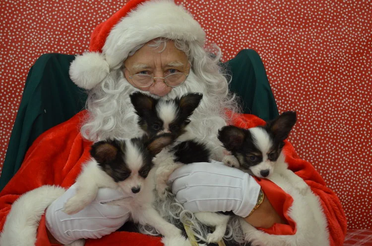 Santa Pic.jpg