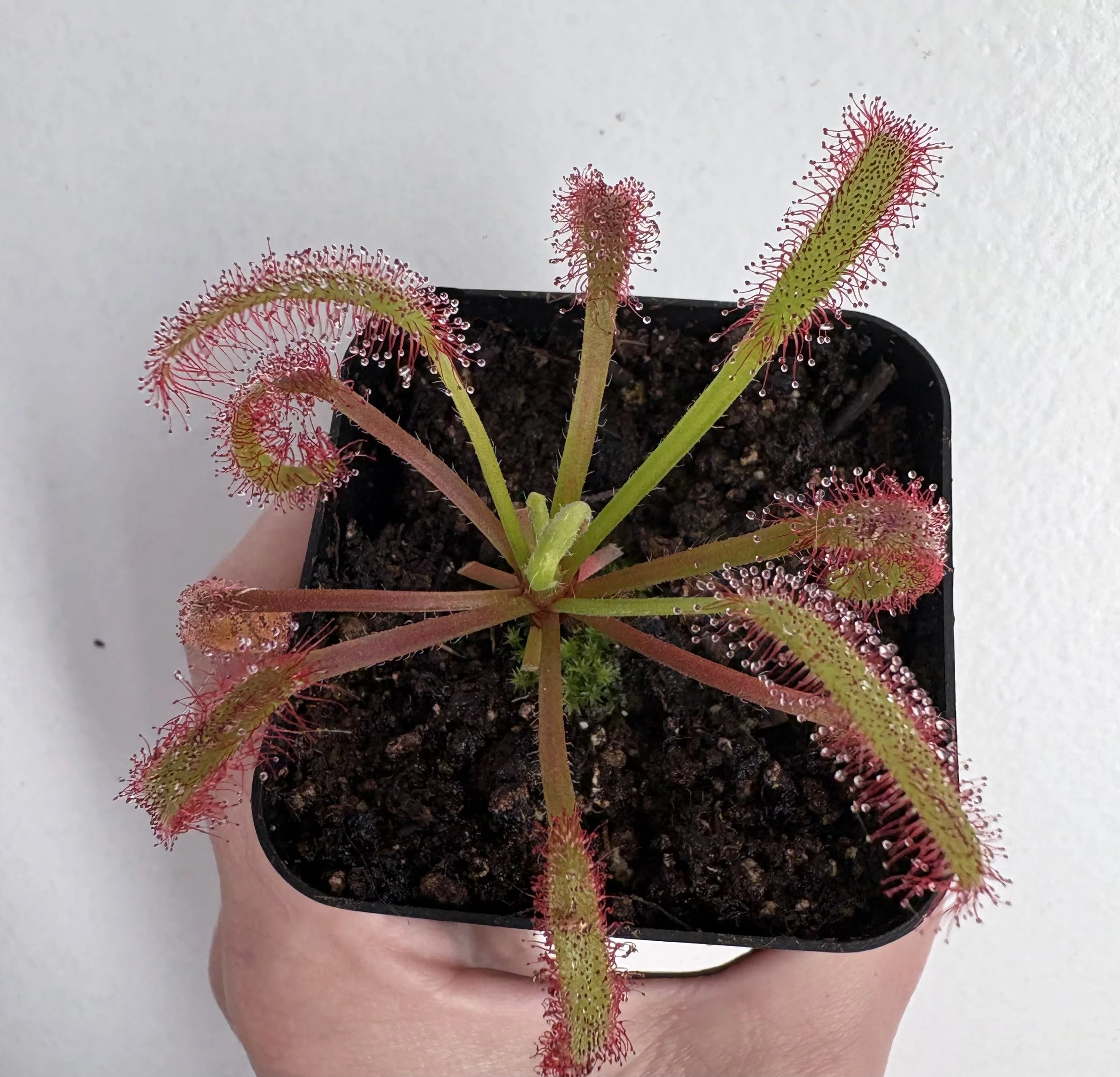 IMG_1728.jpeg