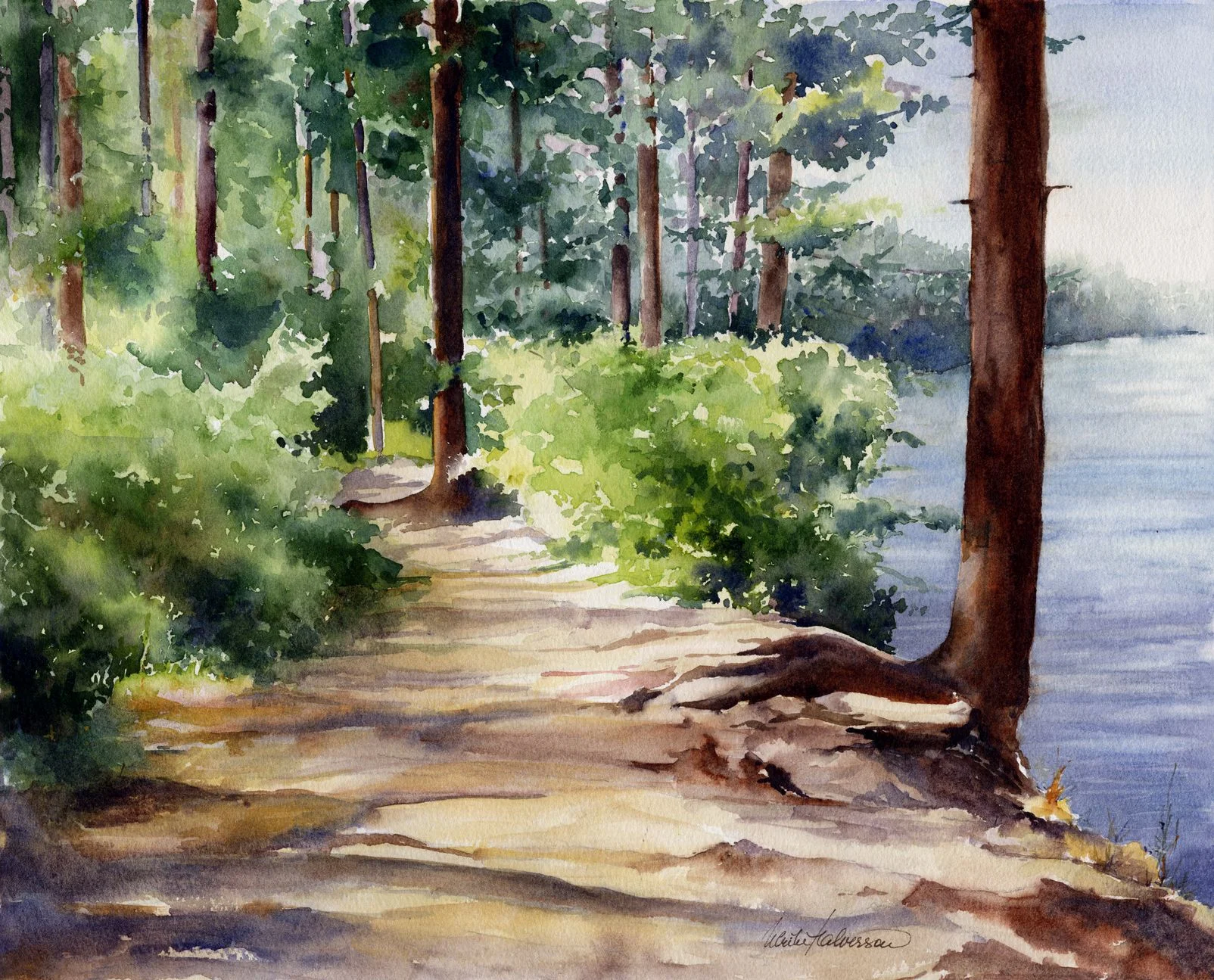 Osprey Trail