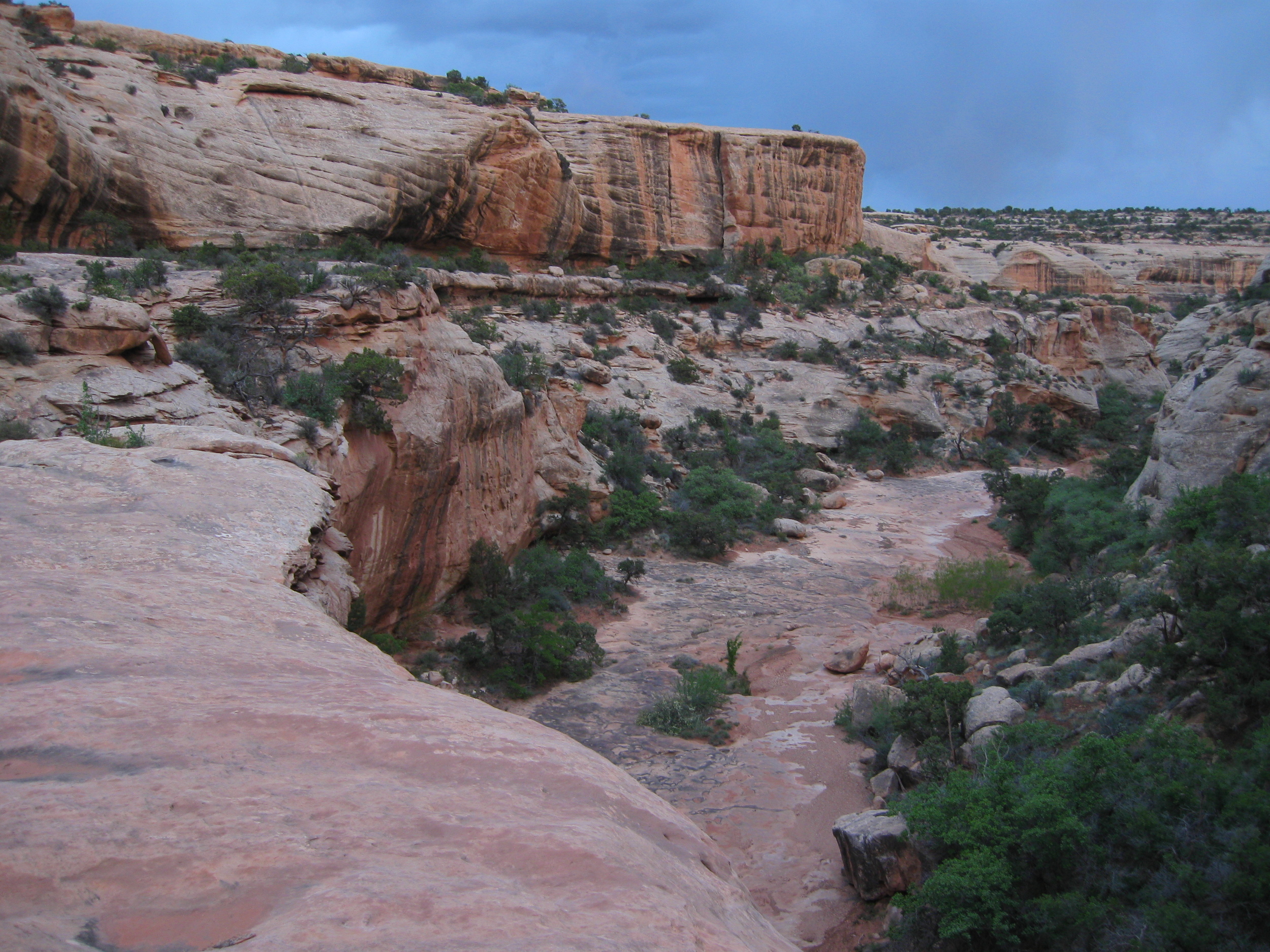 IMG_4552.JPG