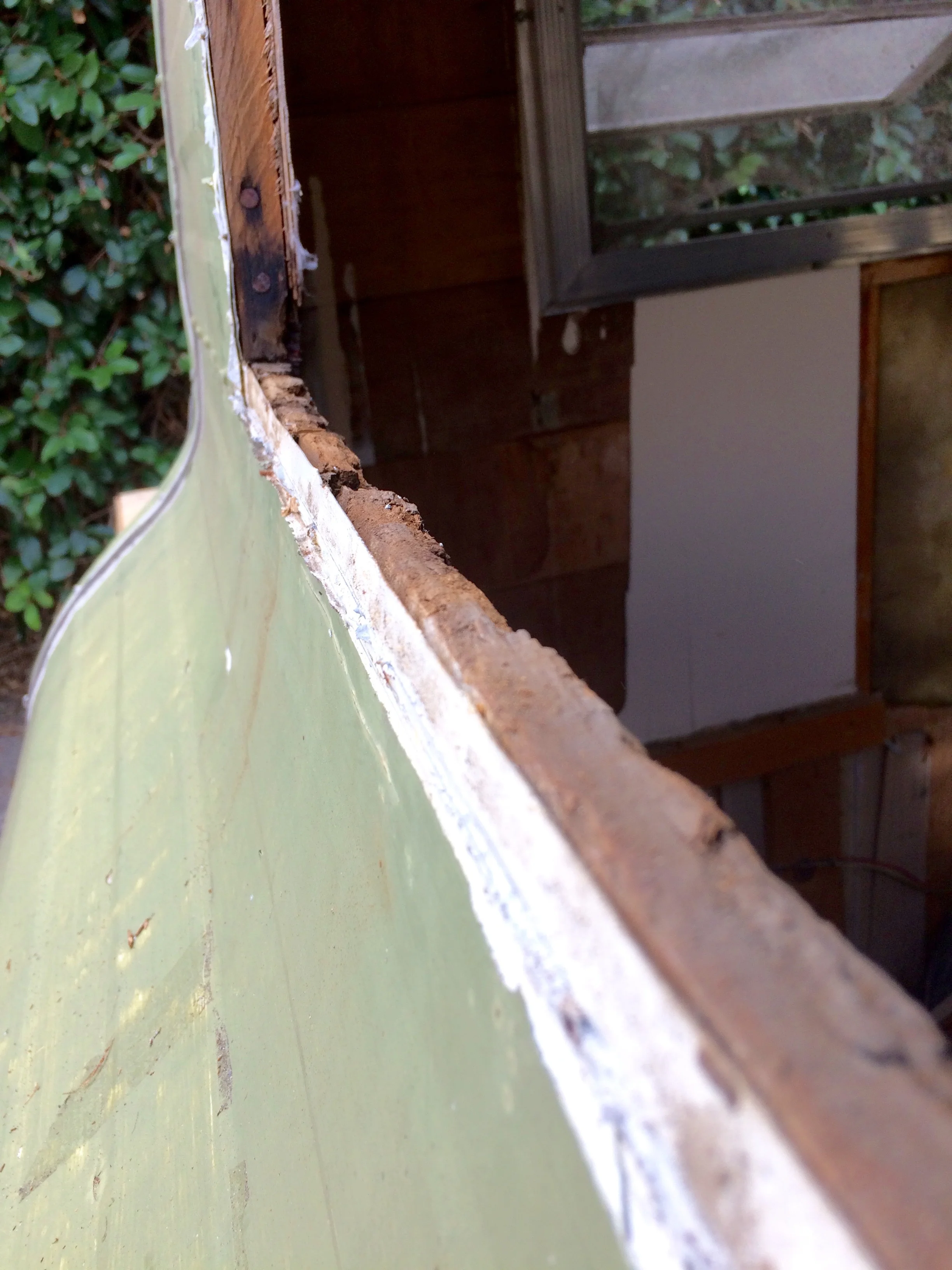 water damage around the window framing