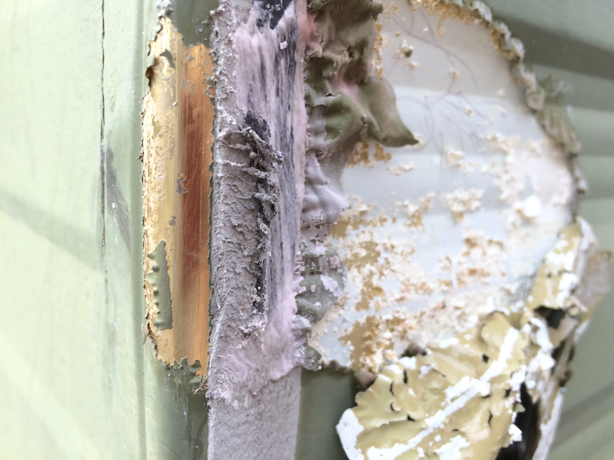 Corner of the shell after being stripped